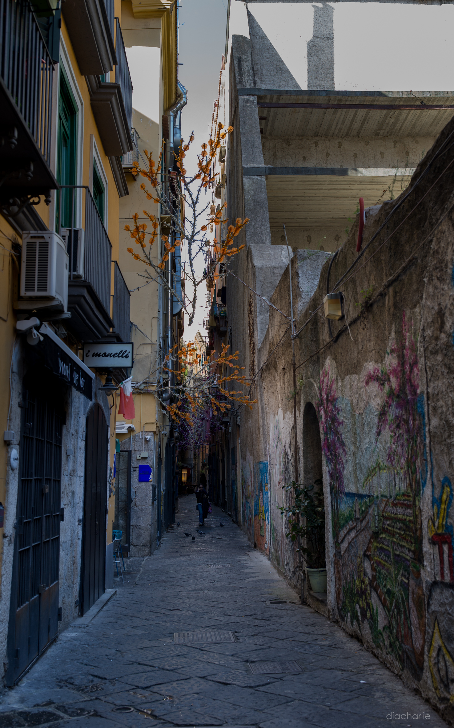 Salerno