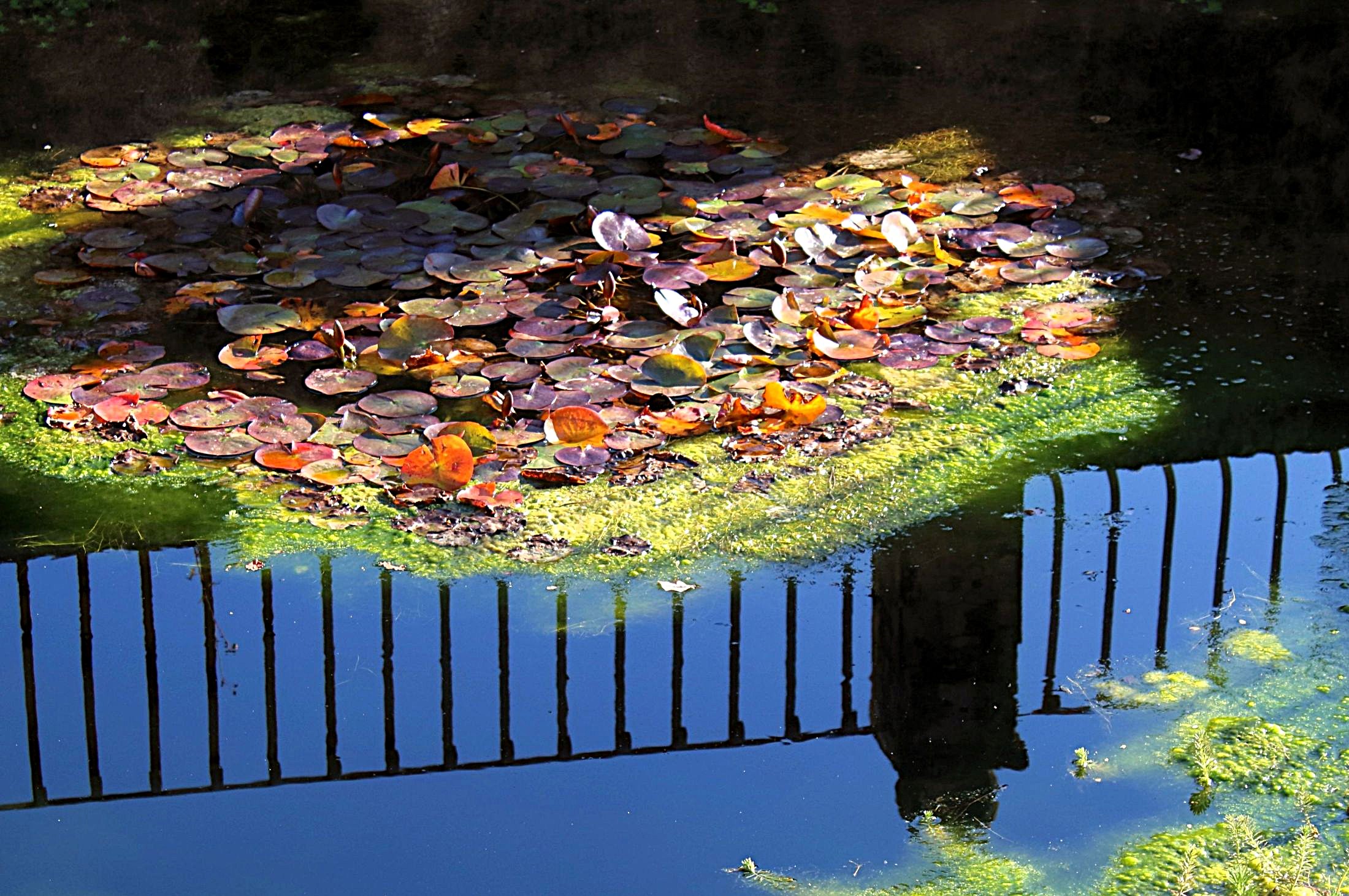 Highlights, shadows and reflections