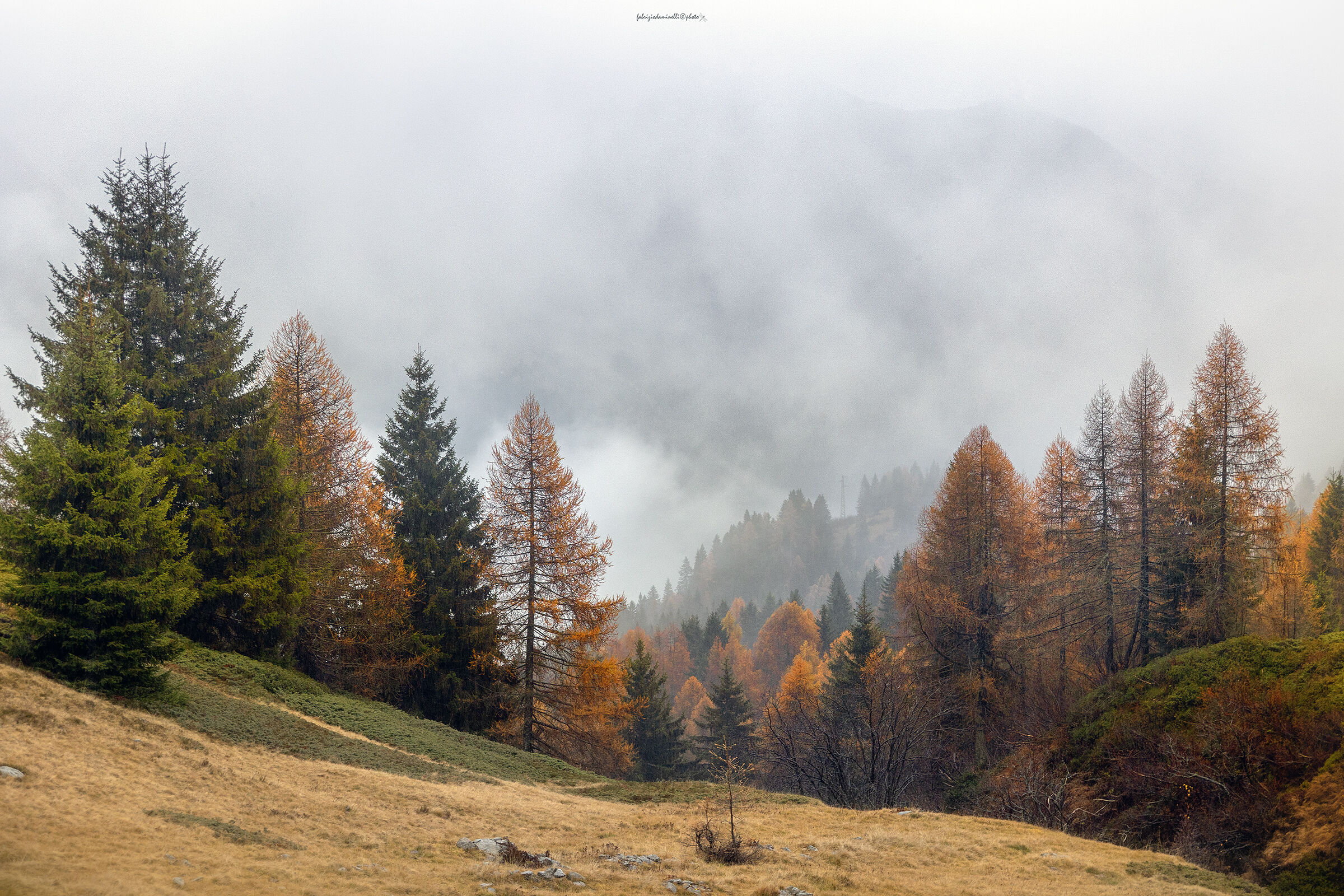 foliage in Val Brembana - Bergamo