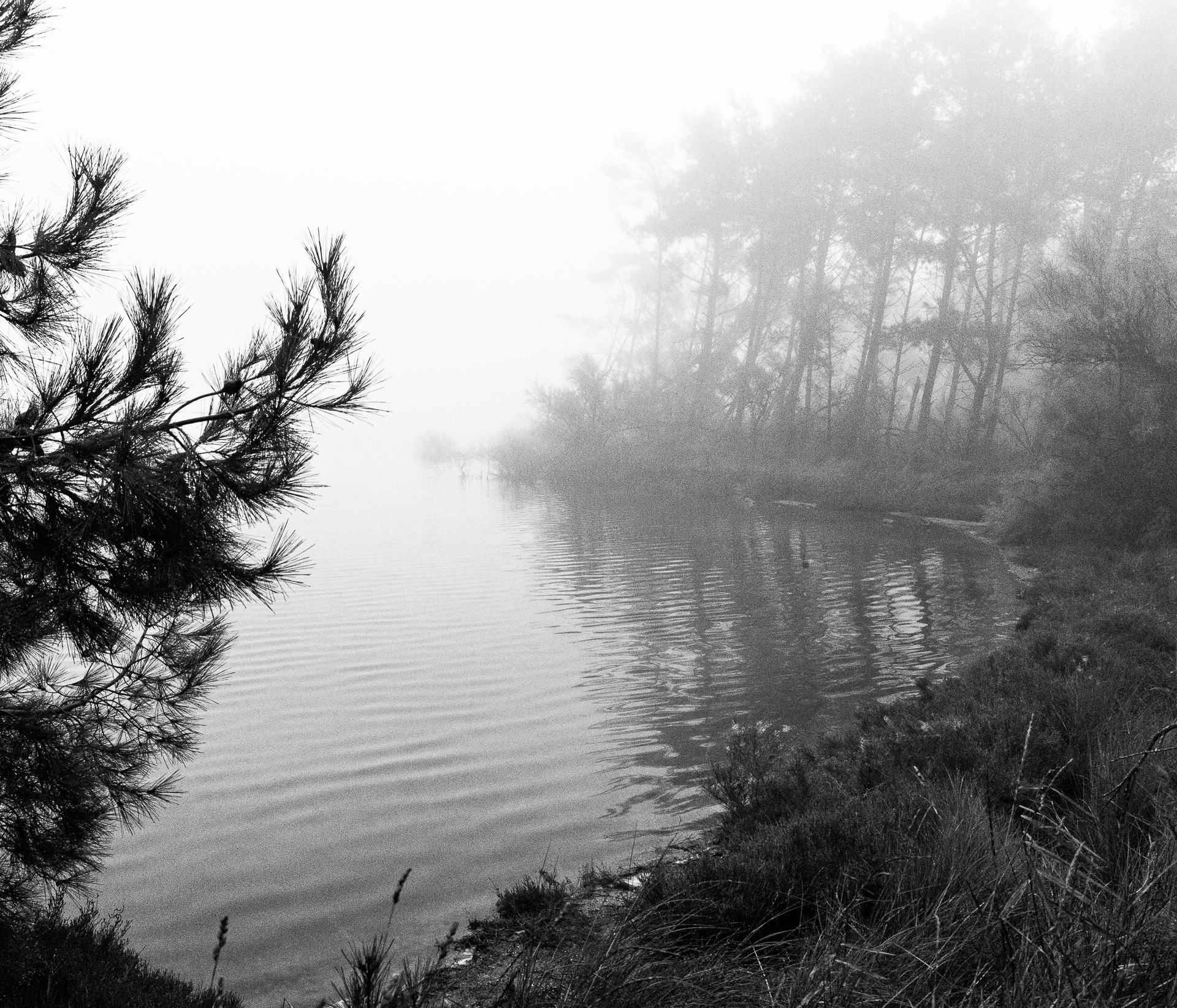 Sacca di Bellocchio e Lago di Spina.