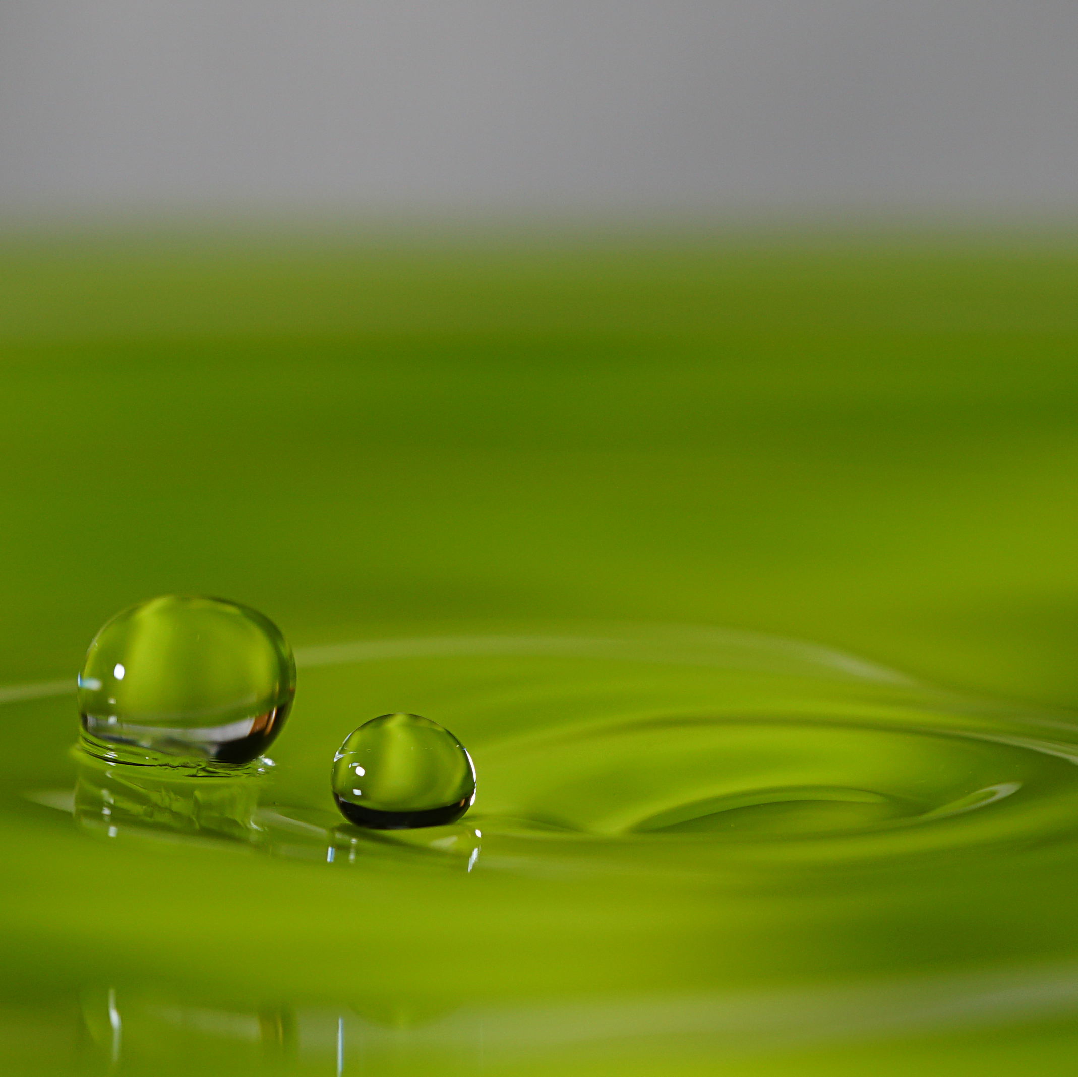 Drops