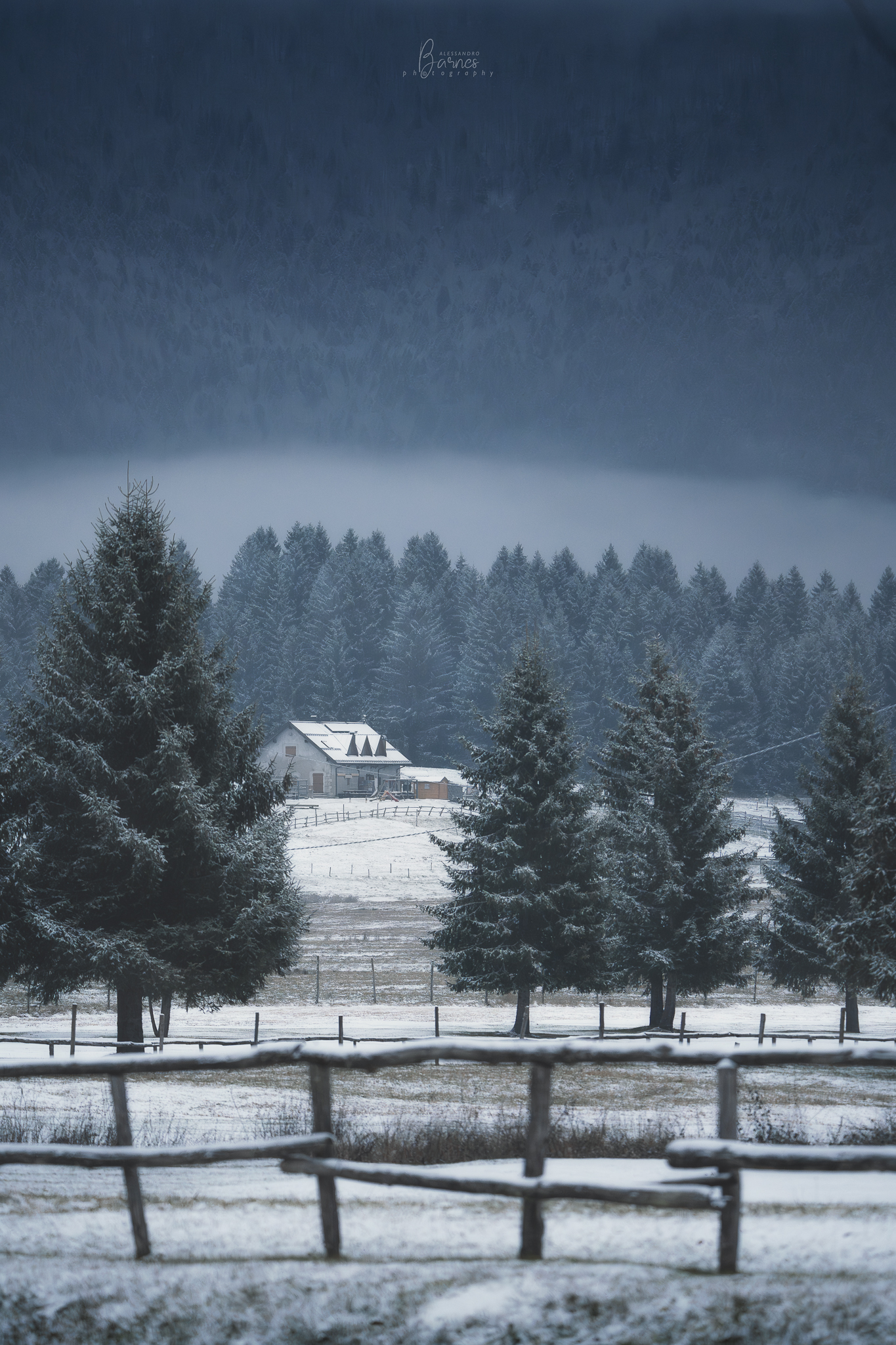 Piana del Cansiglio - prima neve