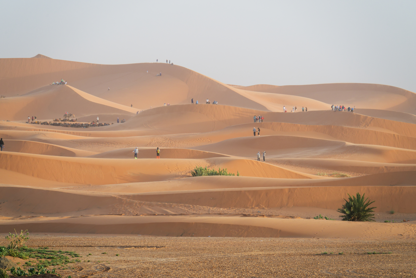 Merzouga Desert