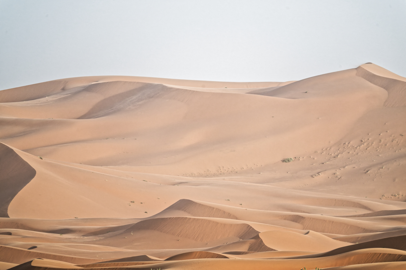 Merzouga Desert