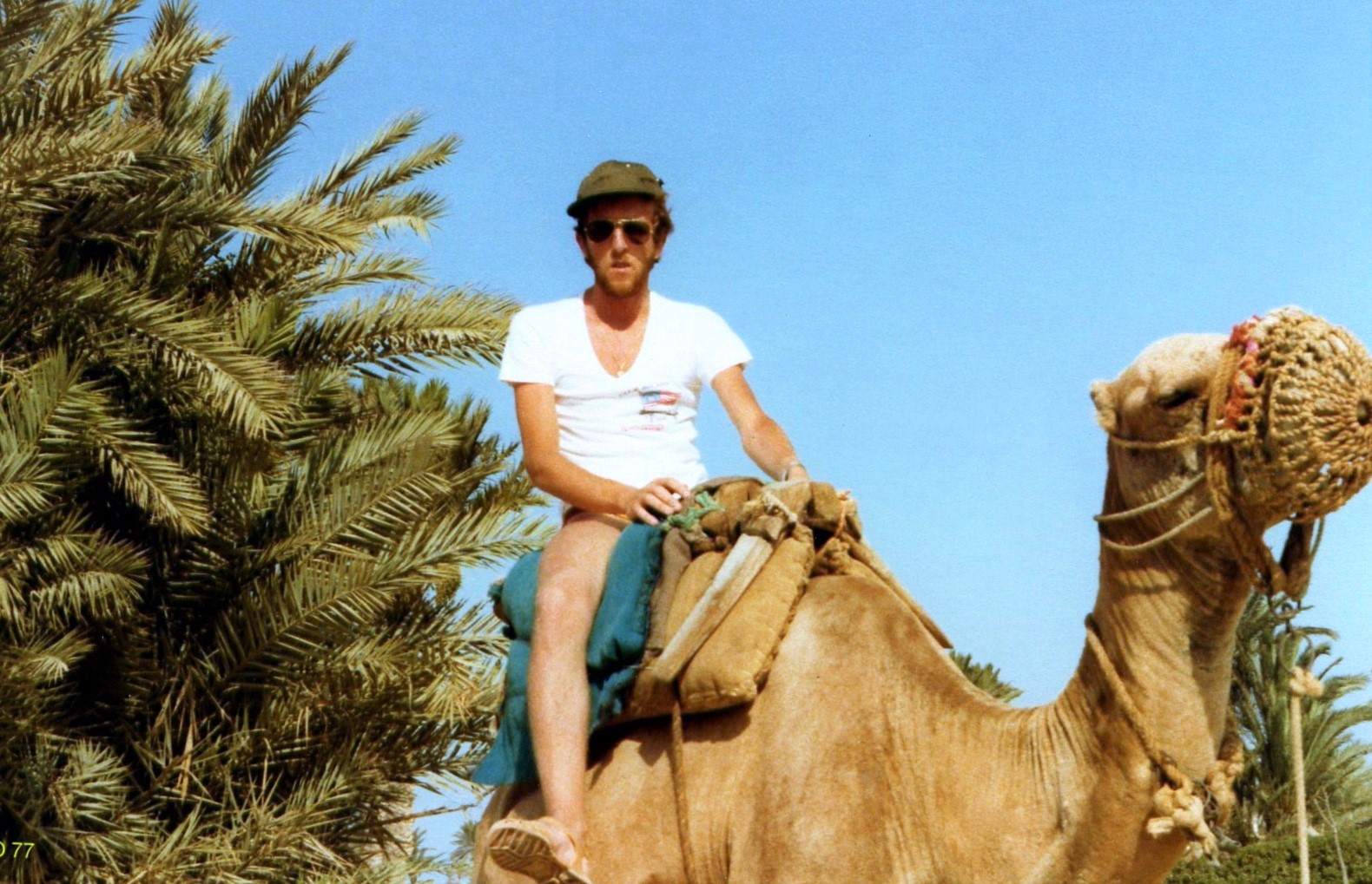 Ancora in dromedario