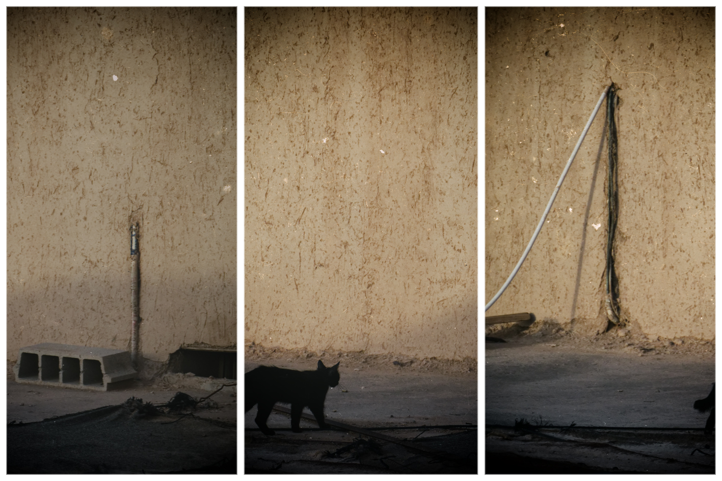 Decomposition of a Cat. Morocco 2025