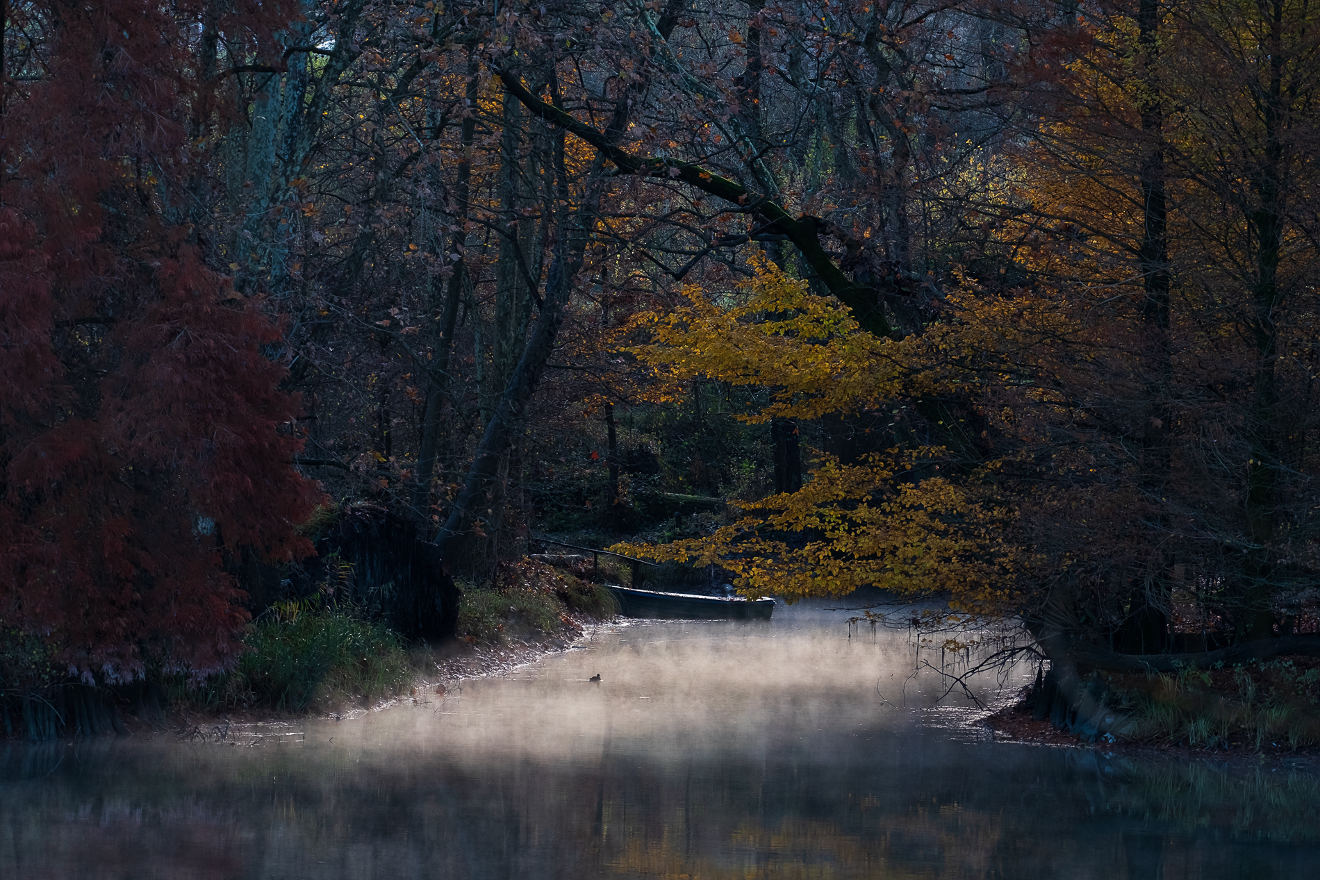 The landing place