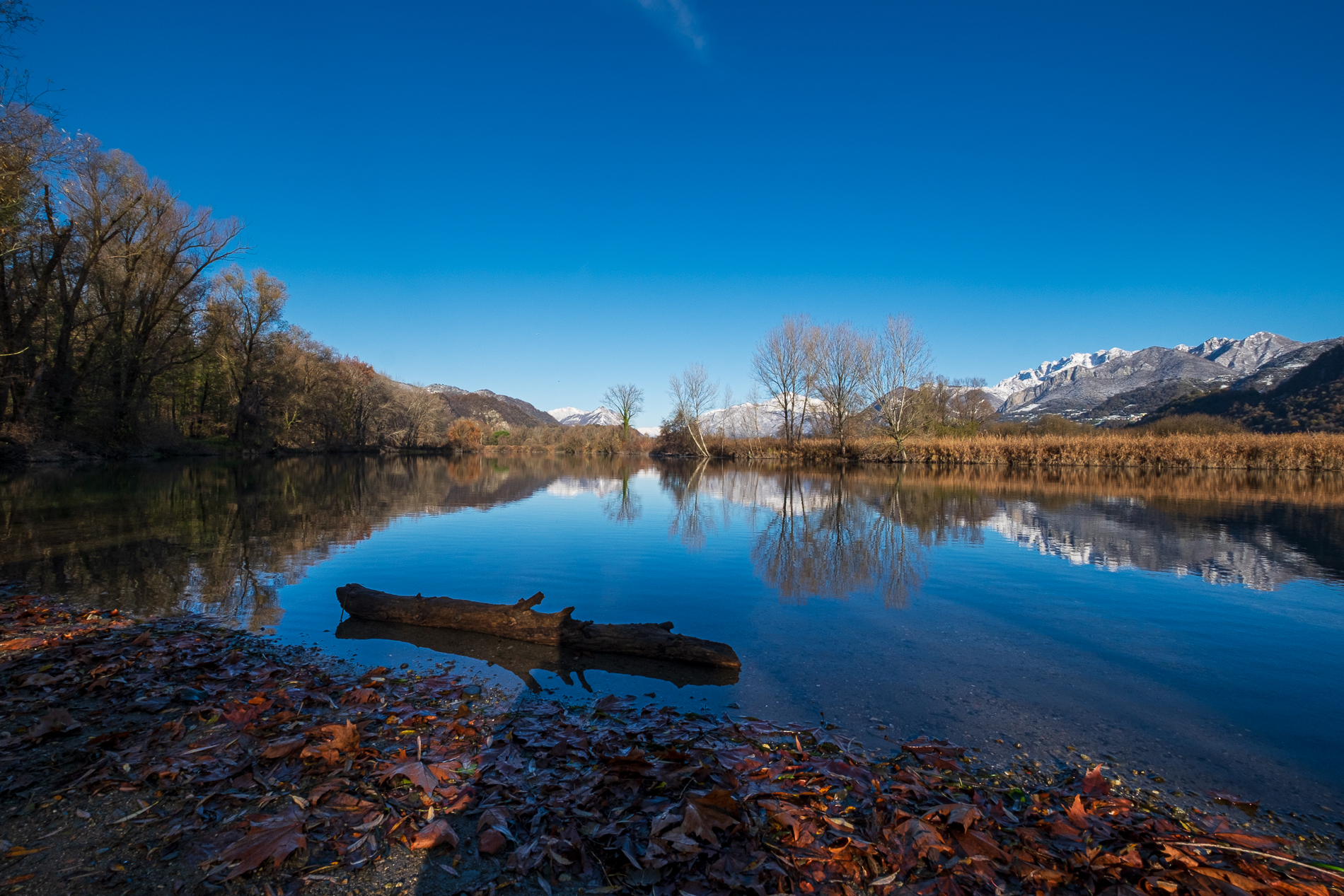 Sulle rive dell'Adda