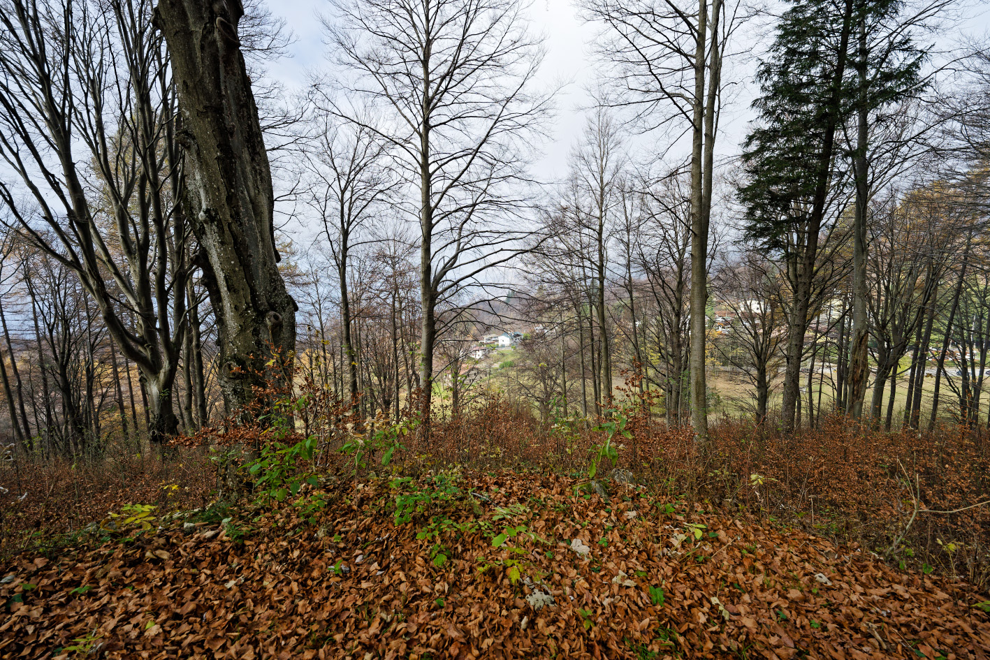 Piani Resinelli and surroundings 2