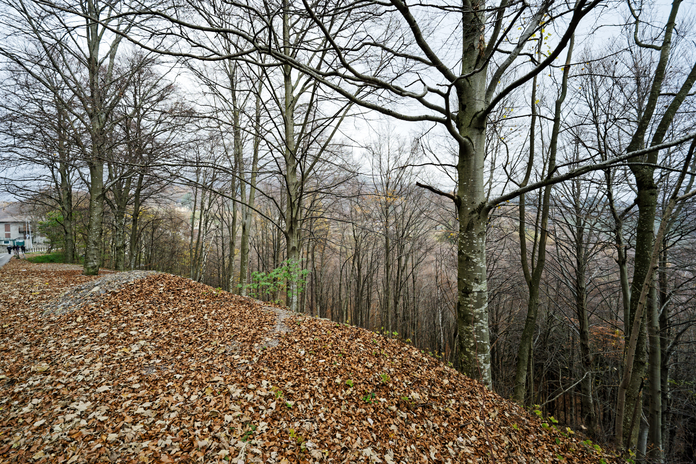 Piani Resinelli and surroundings 5