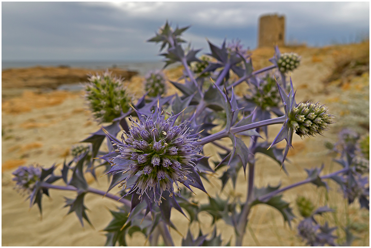 Cala della Torre Siniscola