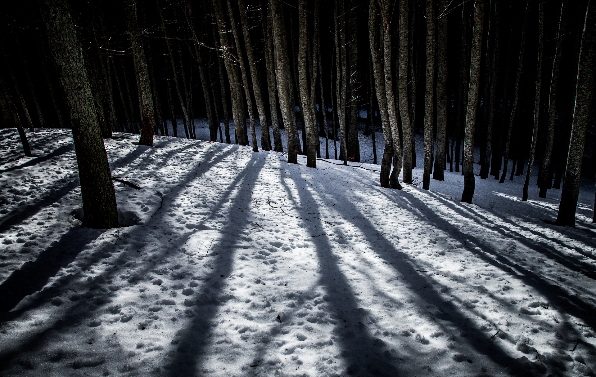 Silent shadows
