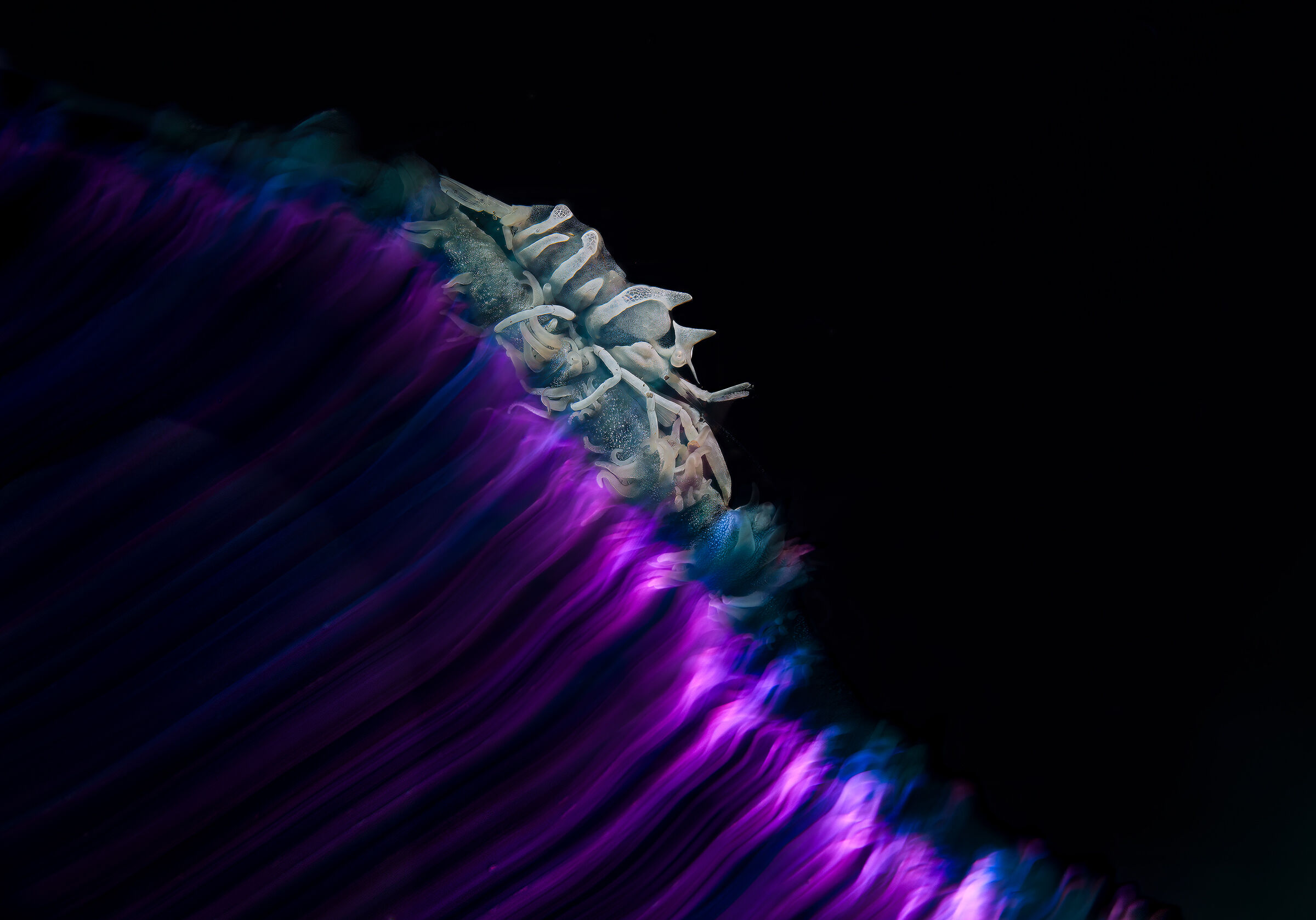 esperimenti di luce uw