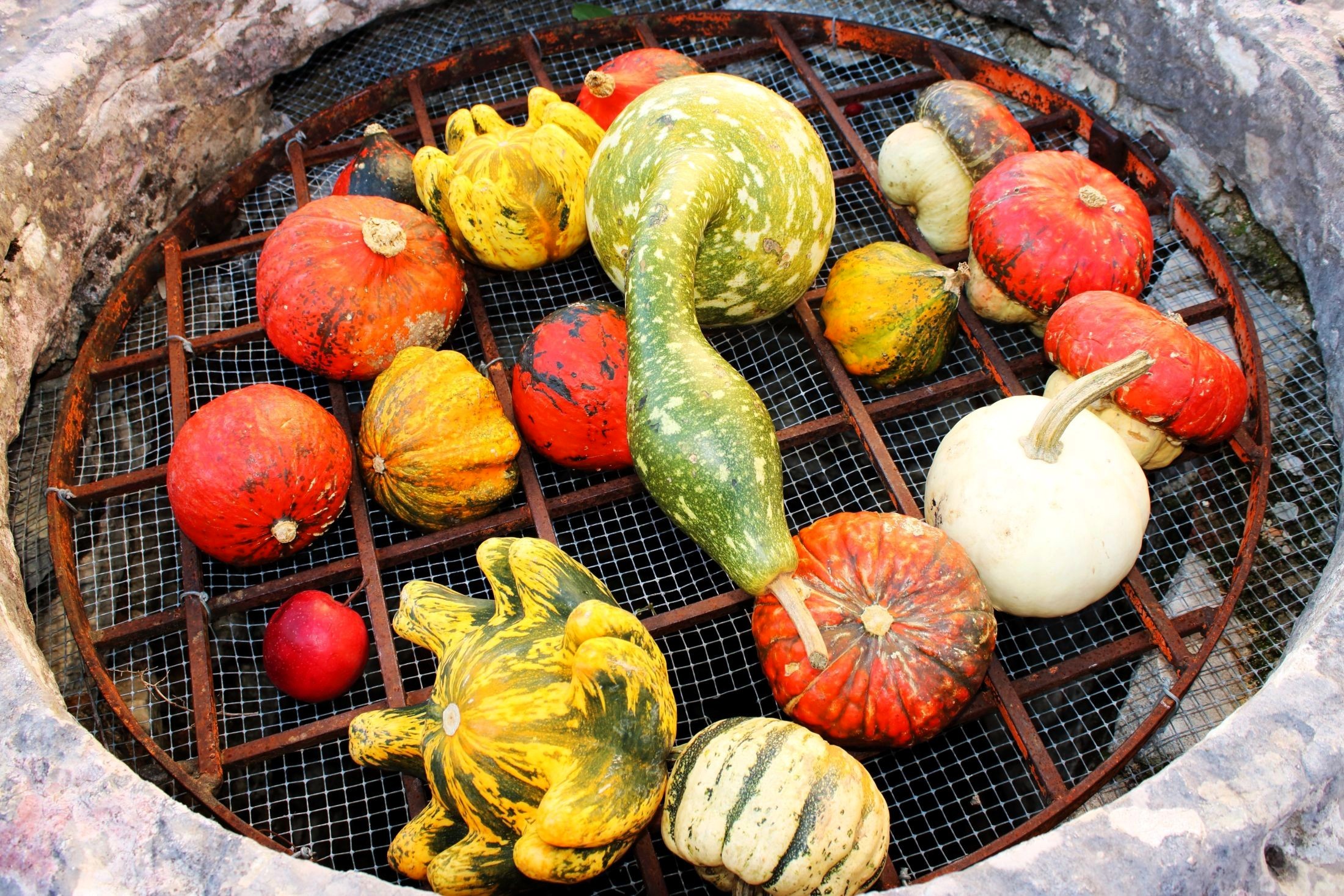 What does the apple have to do with it?