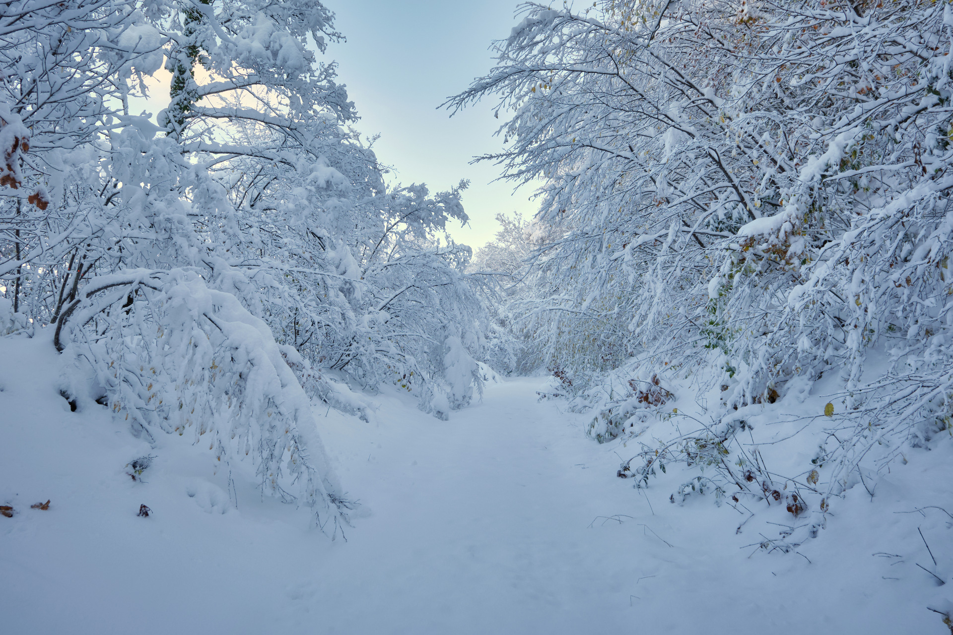 Snow in Torre Beregna - Serrapetrona (MC)