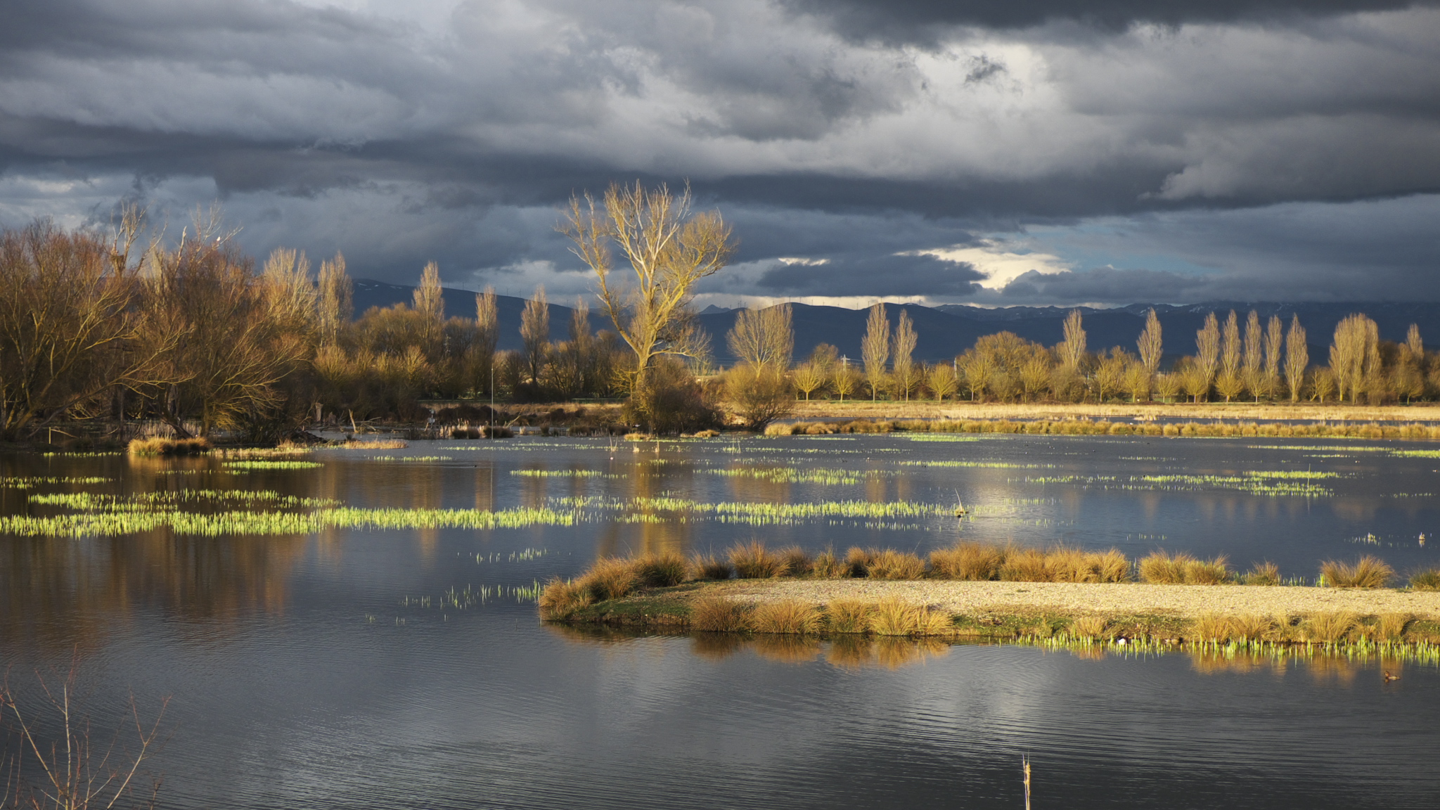 Humedal de Salburua, Vitoria Gasteiz