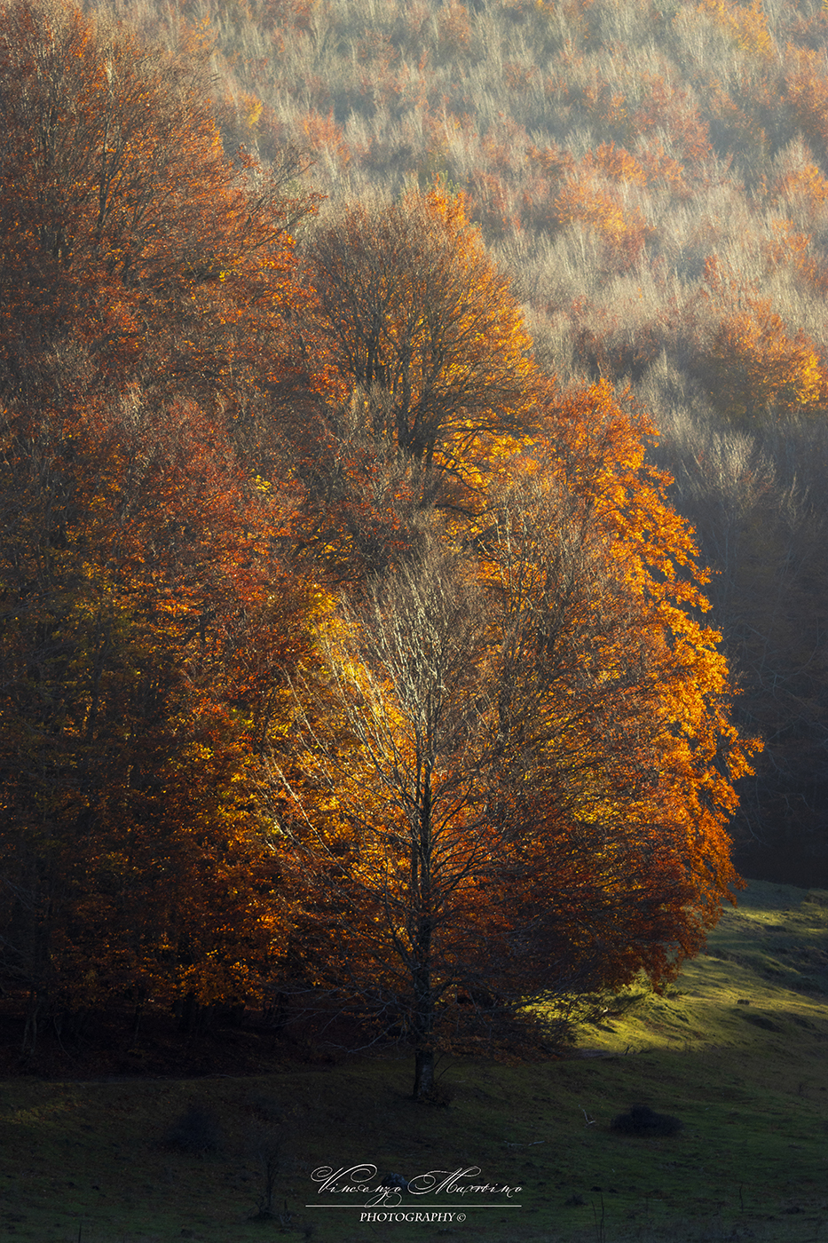 Autumn