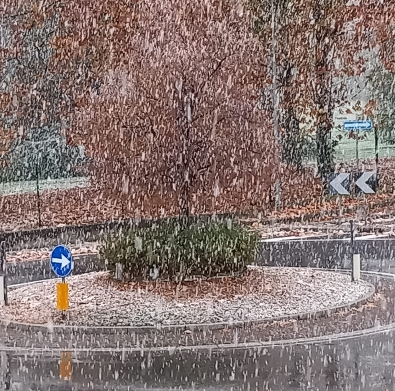 21-11-2025 prima neve Merate