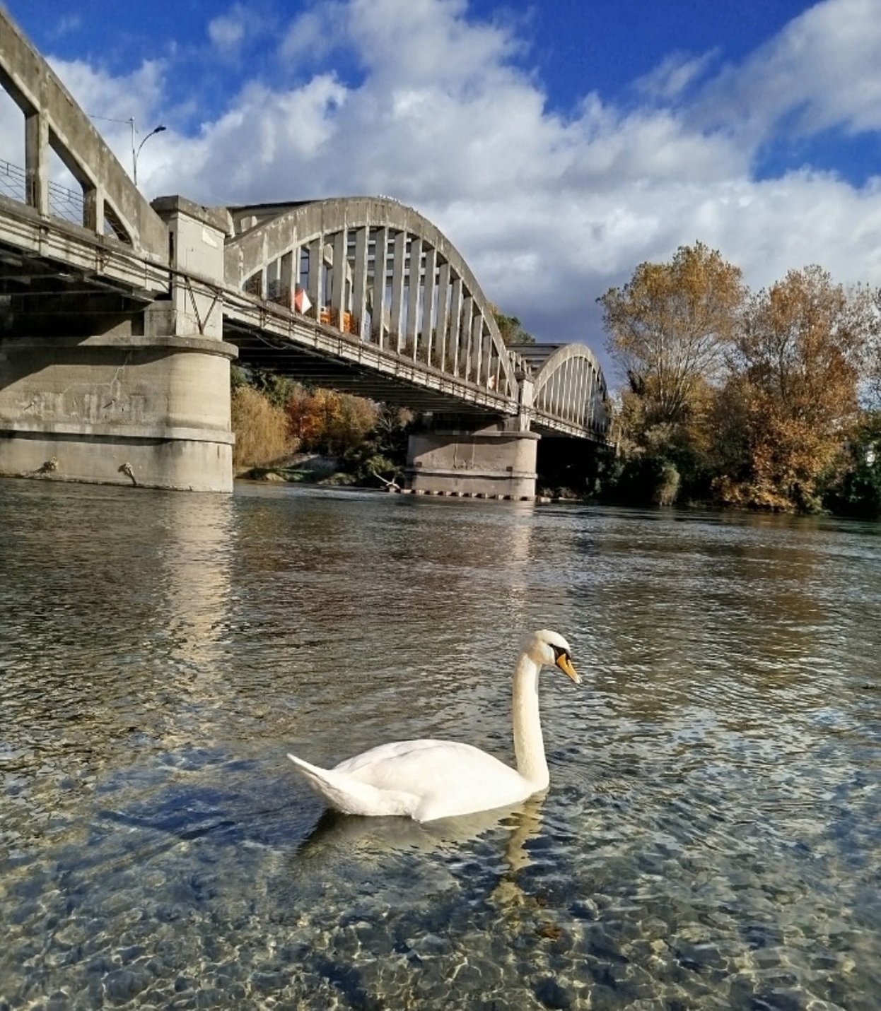 ponte sul fiume Adda a Brivio