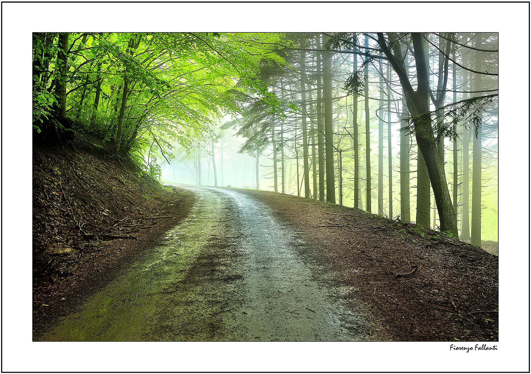 ..Pioggerella estiva..