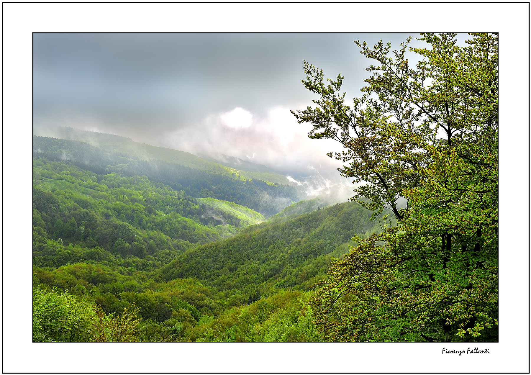 ..Estate imbronciata..