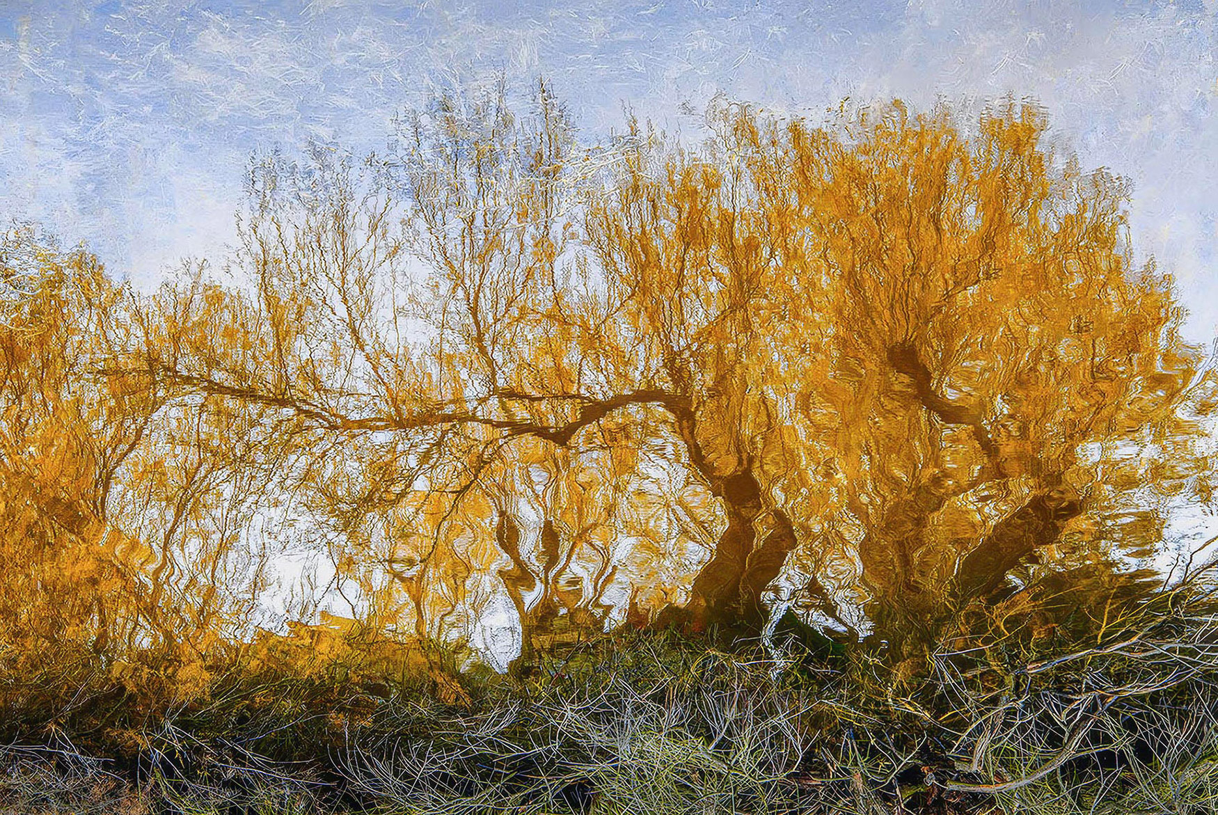 Tamerici autunnali emersi