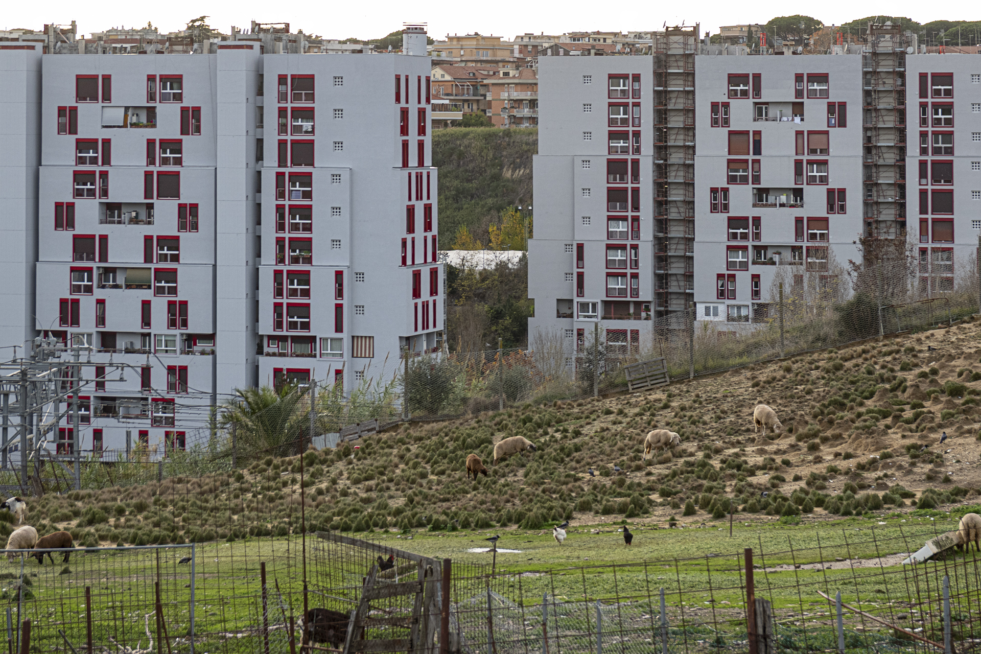 Monte Ciocci tra cemento e pascoli
