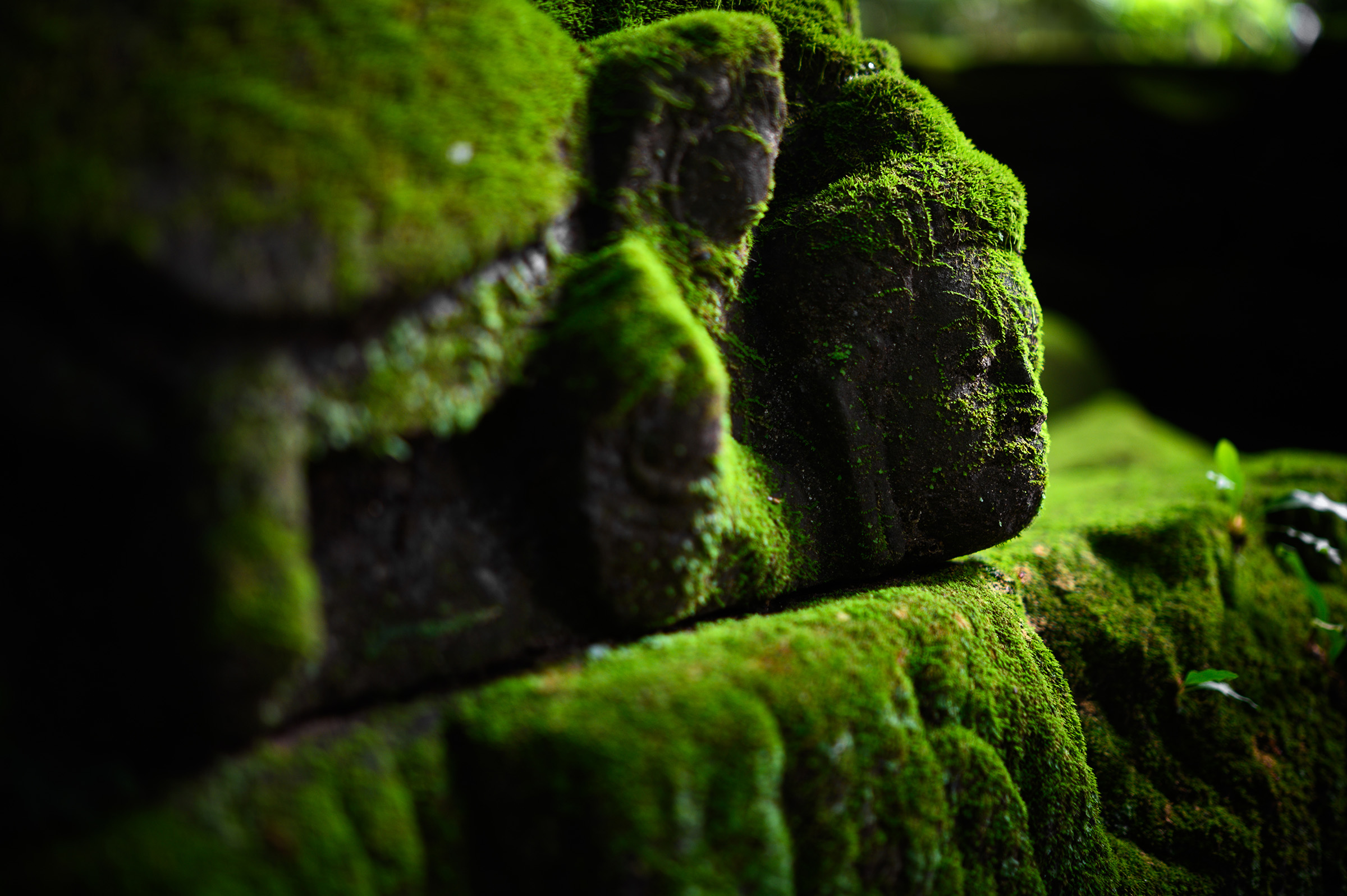 The secrets of Angkor