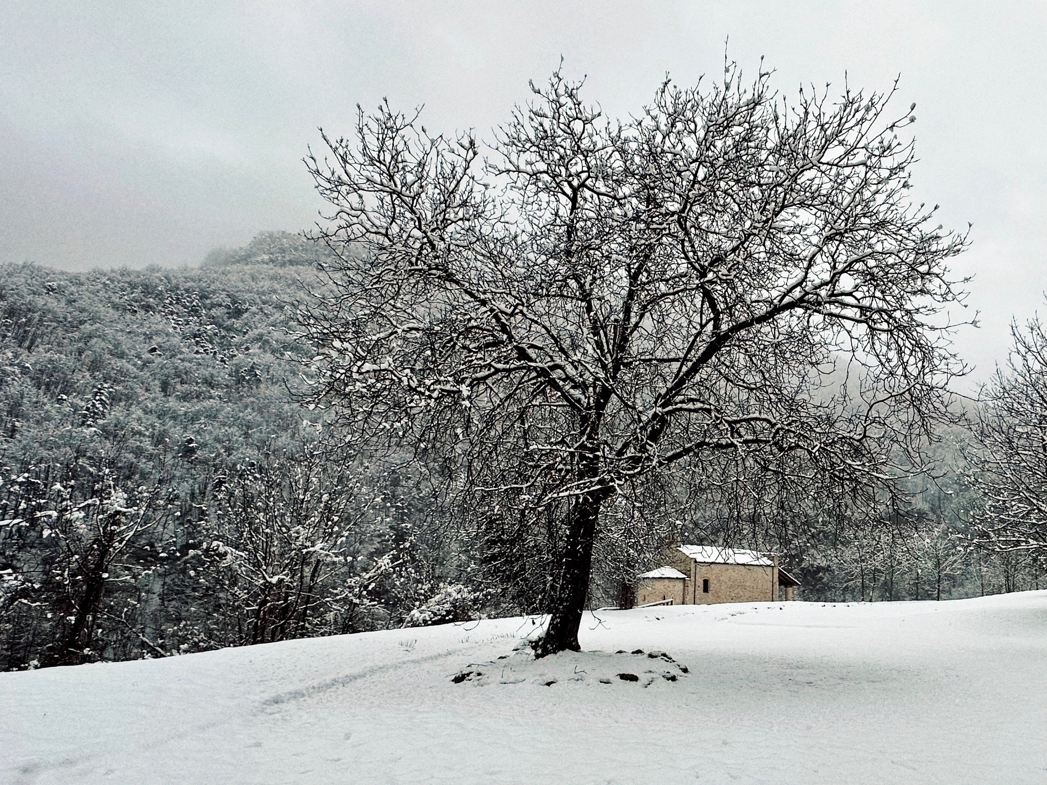 Chapel of San Salvatore_Valle Maira