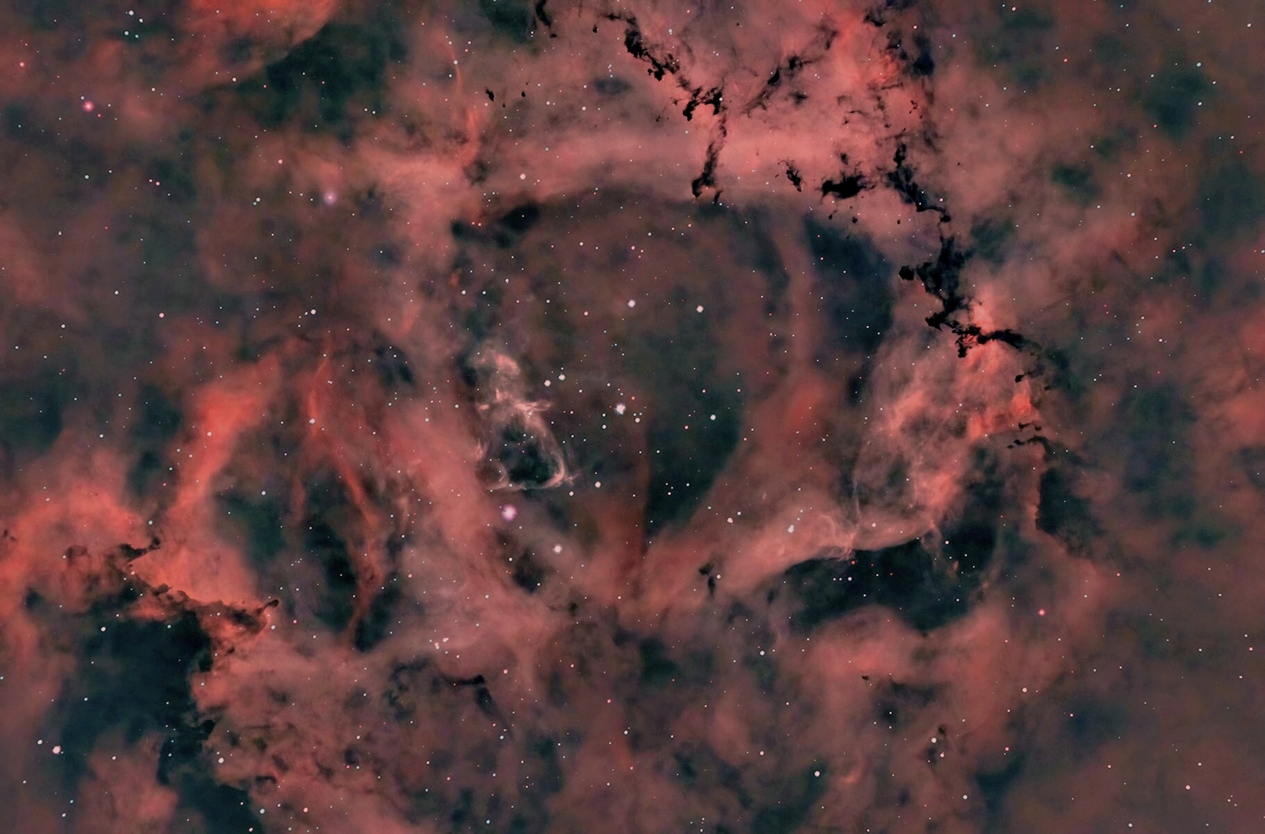 "ROSETTA" Nebula