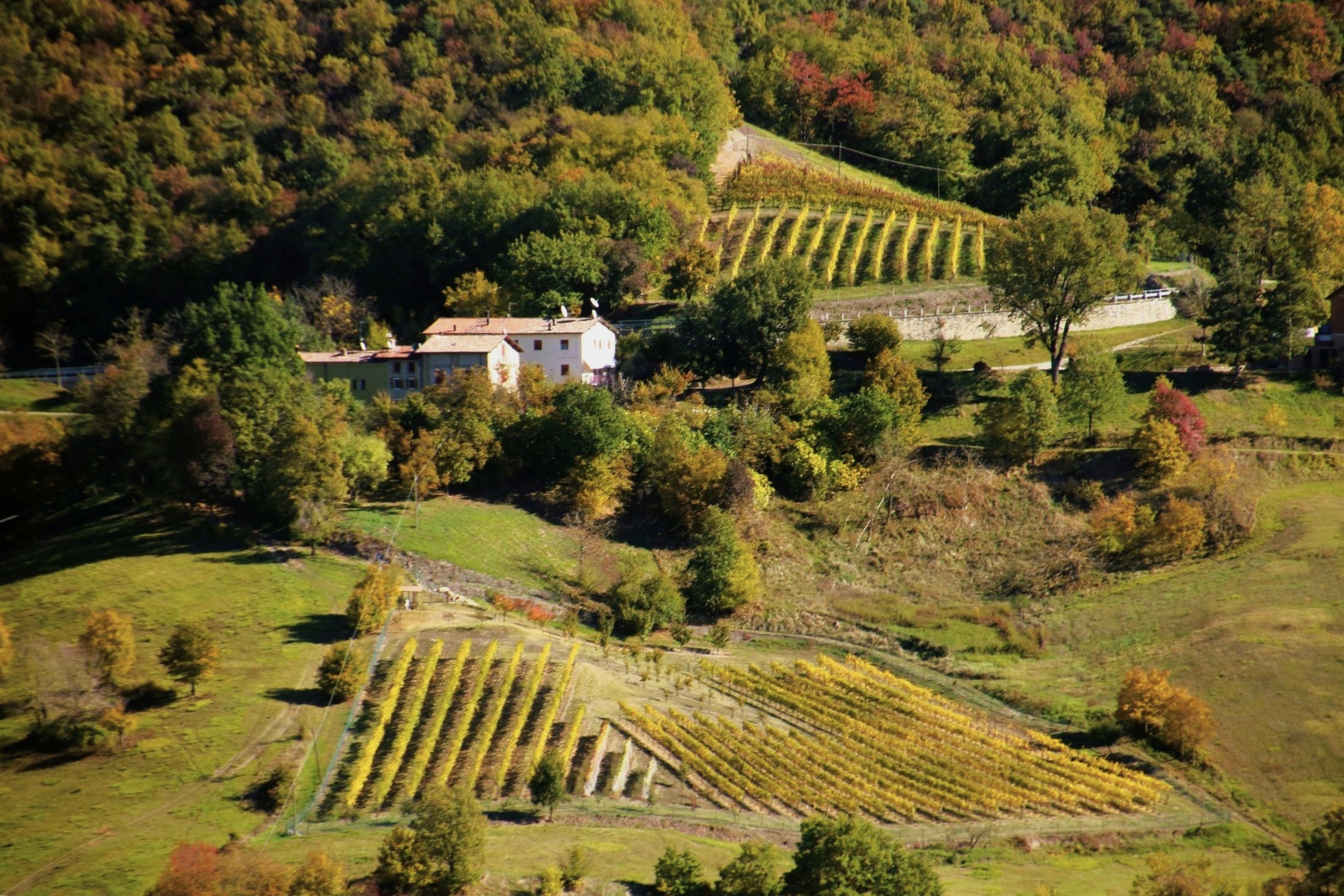 Il verde della valle