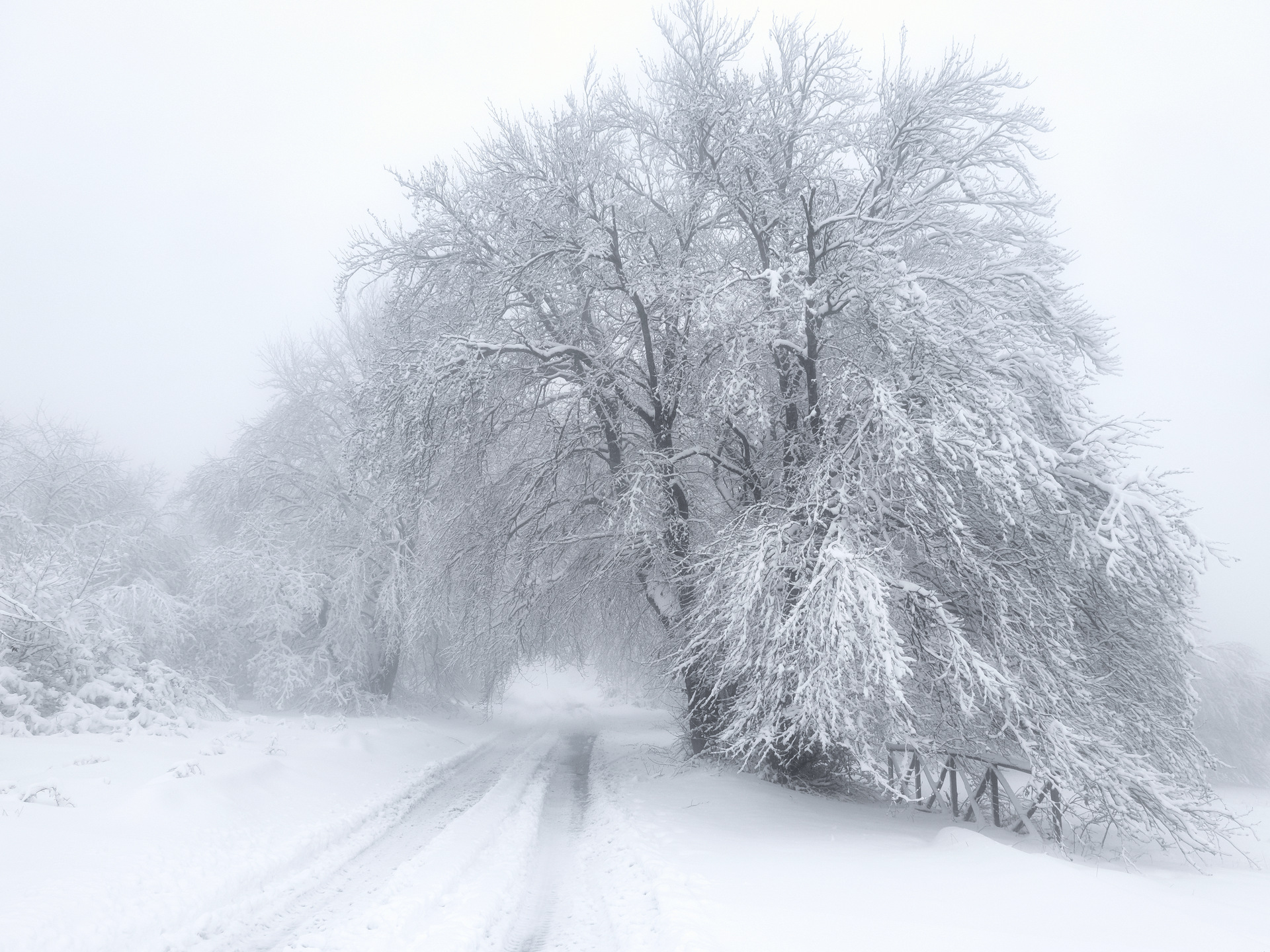 Canfaito - San Severino Marche (MC)