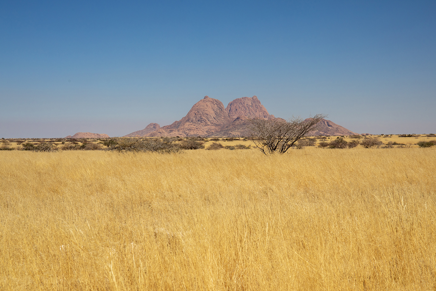 l'eleganza dello Spitzkoppe