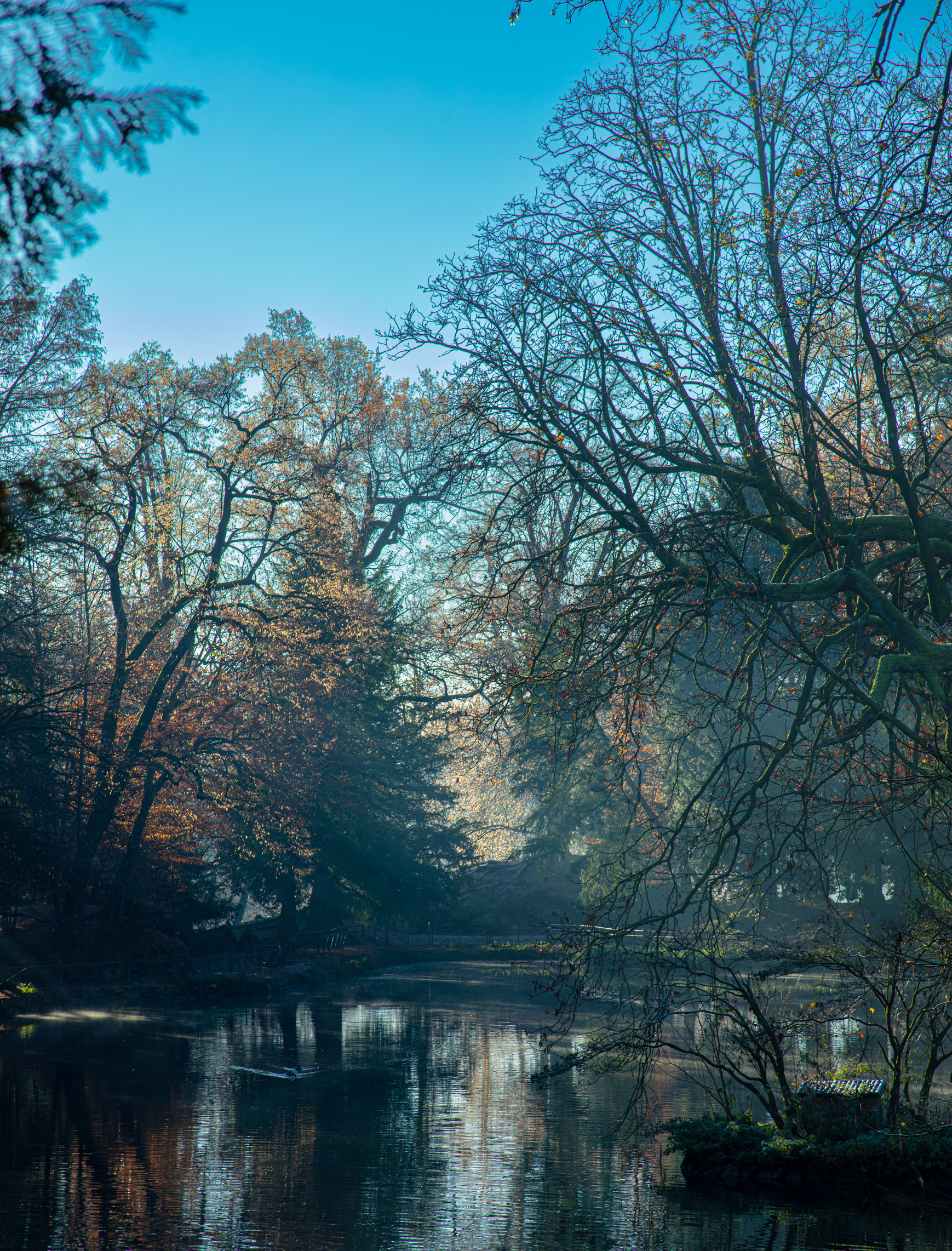An autumn morning in the Royal Villa