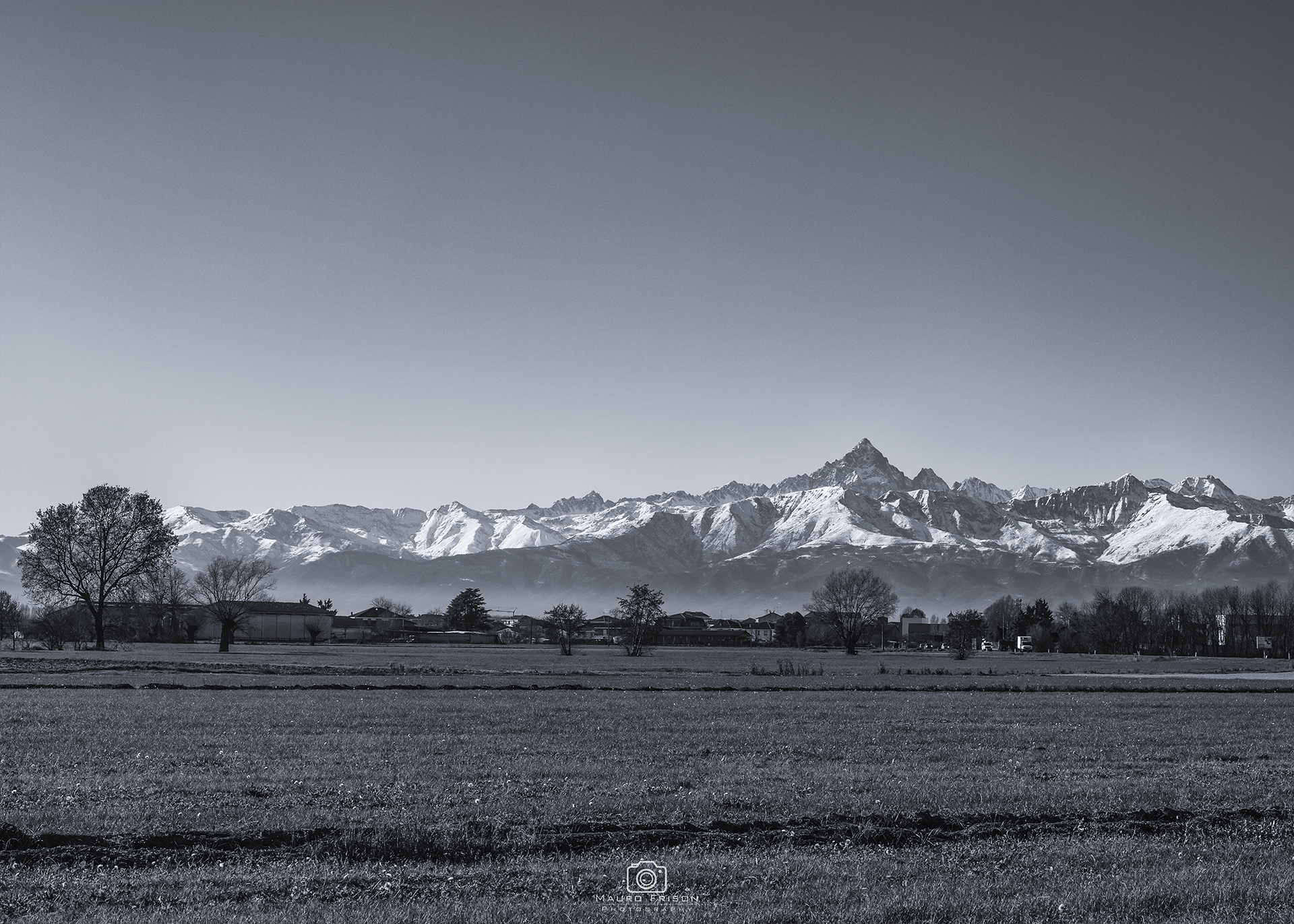 Untitled Photo