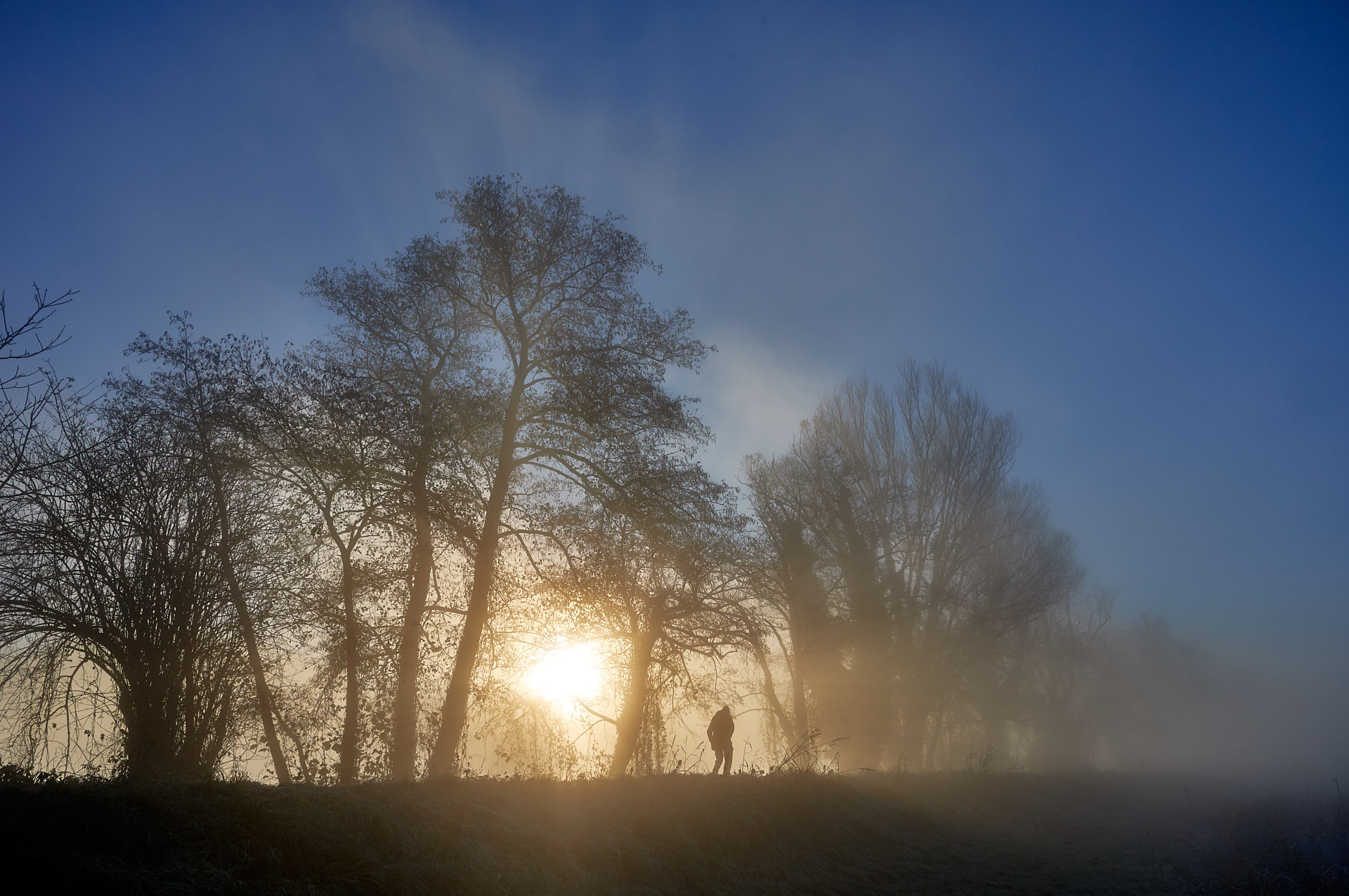 A spasso nella nebbia