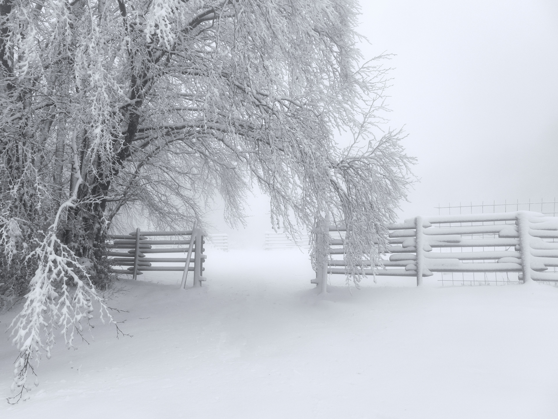 Canfaito - San Severino Marche (MC)