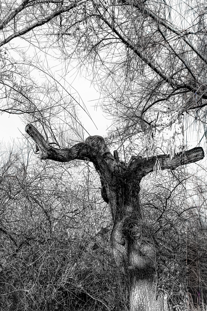 Untitled Photo