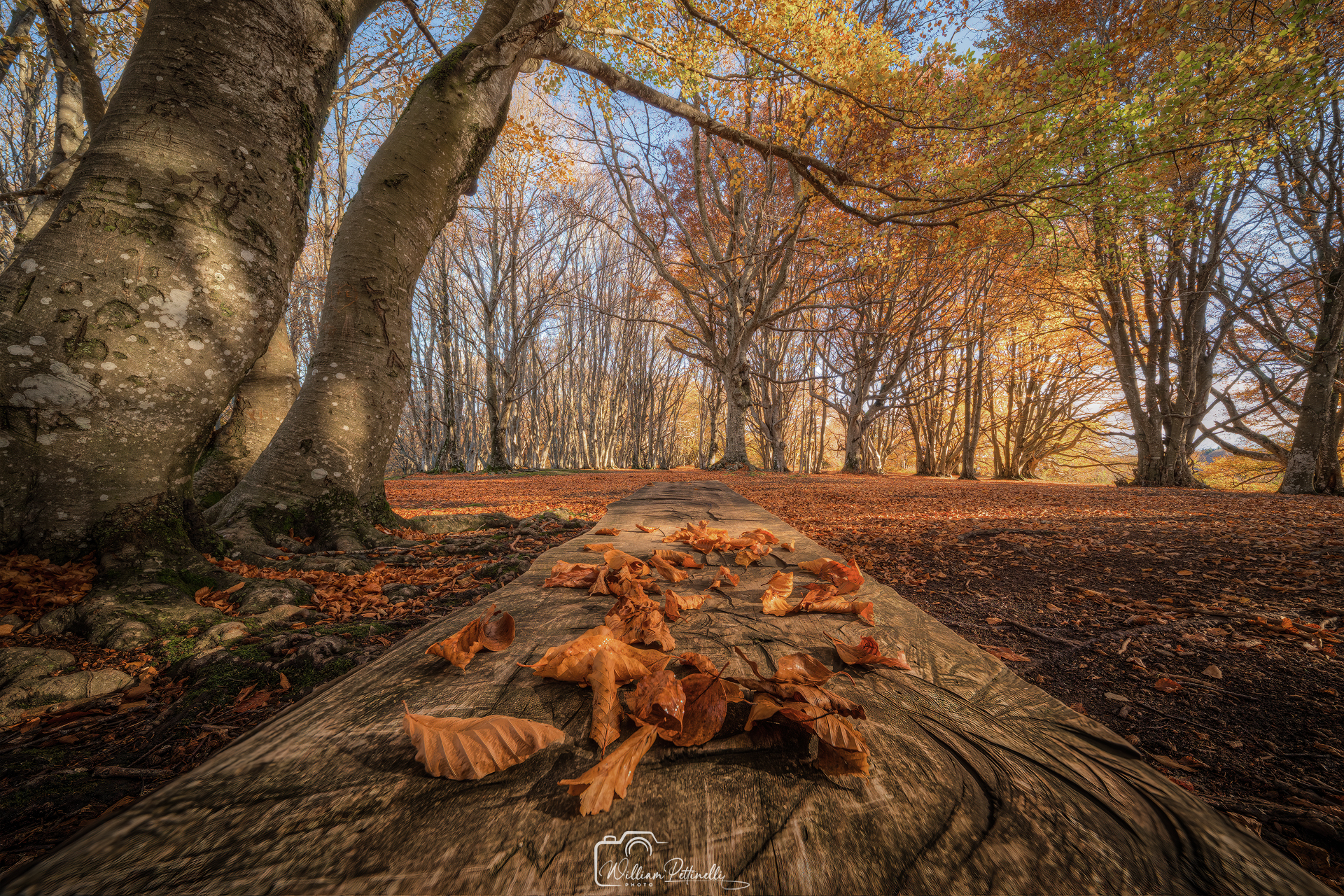 Autunno