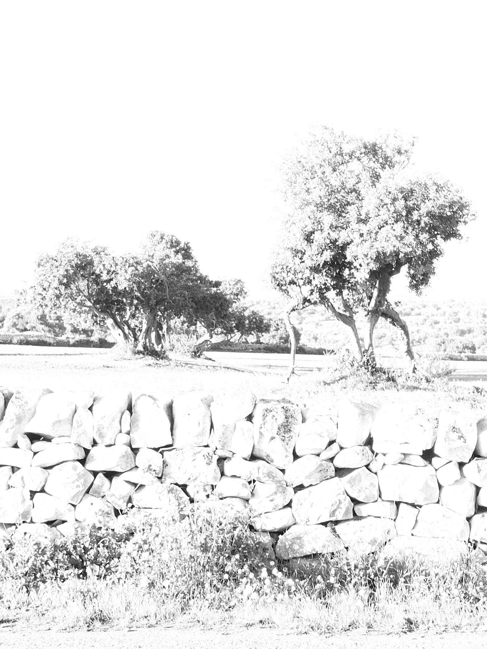 'Digital Charcoal,3'