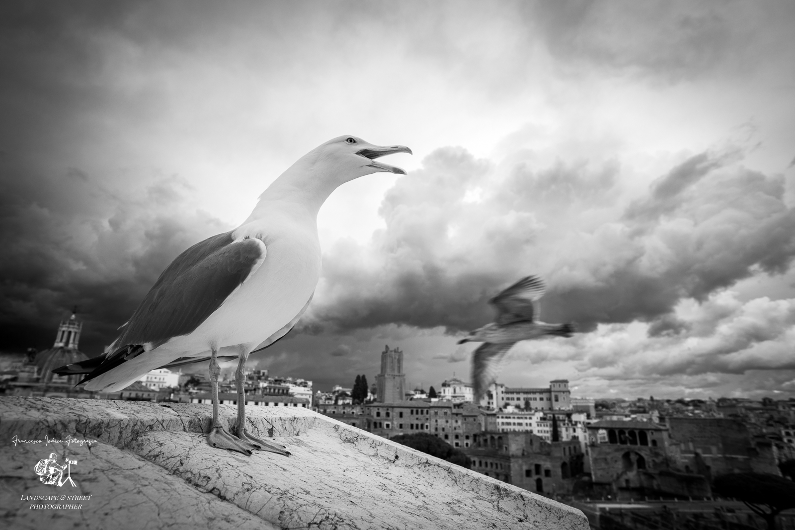 Altare della Patria... street moment, Roma