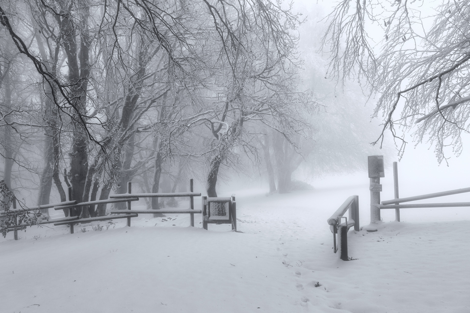 Canfaito - San Severino Marche (MC)