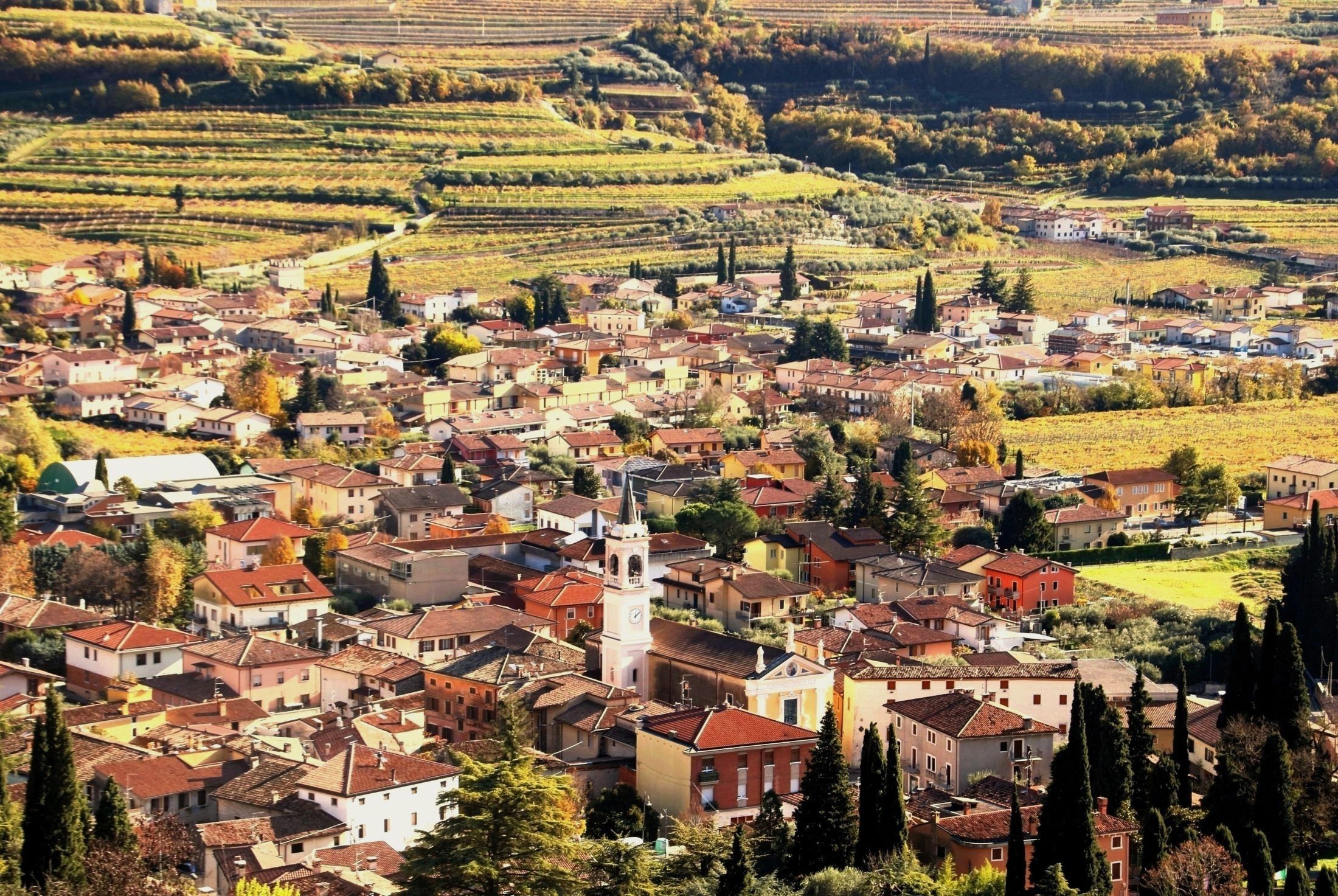 The white bell tower