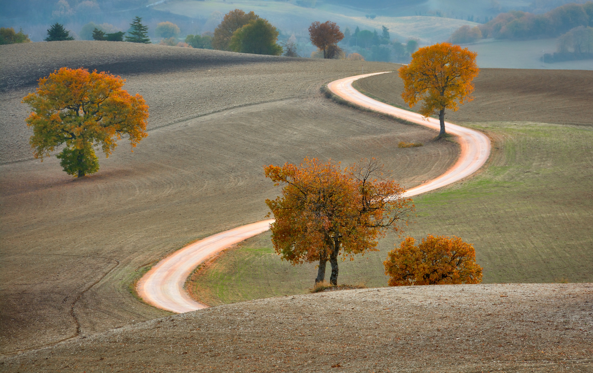 Countryside of San Severino Marche (MC)