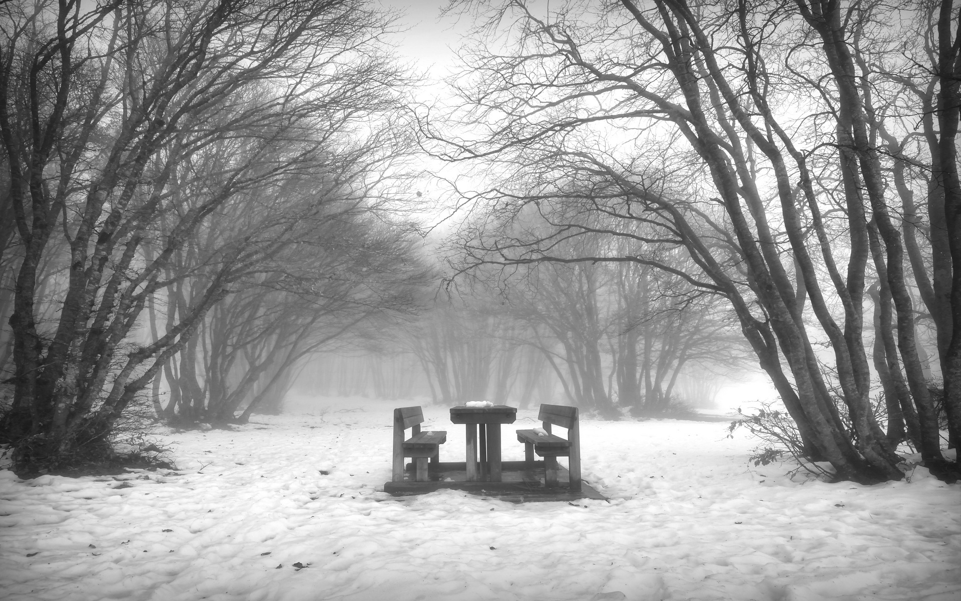 Prati del monte San Vicino (MC)