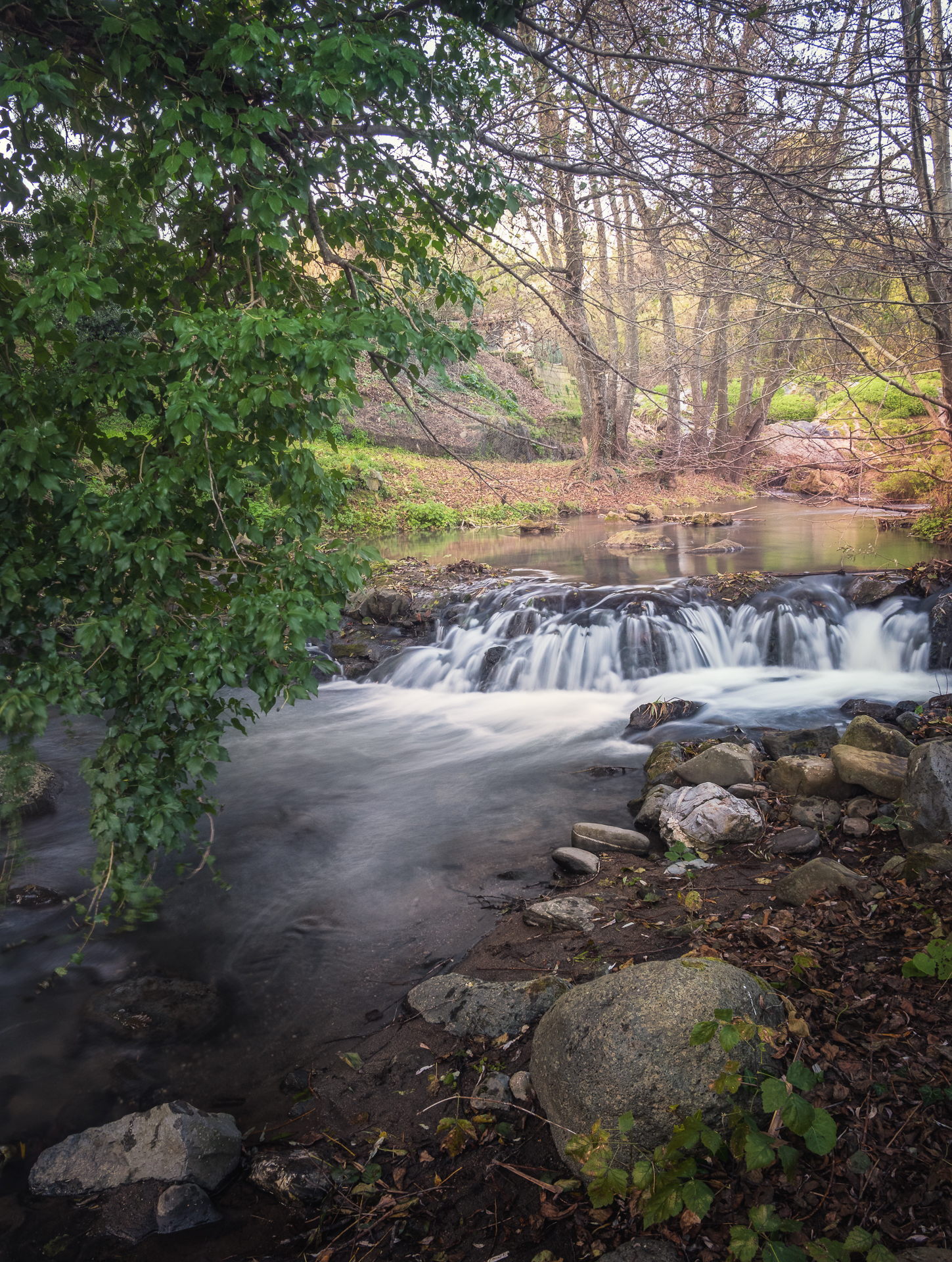 Riserva Naturale Regionale Selva del Lamone Farnese VT