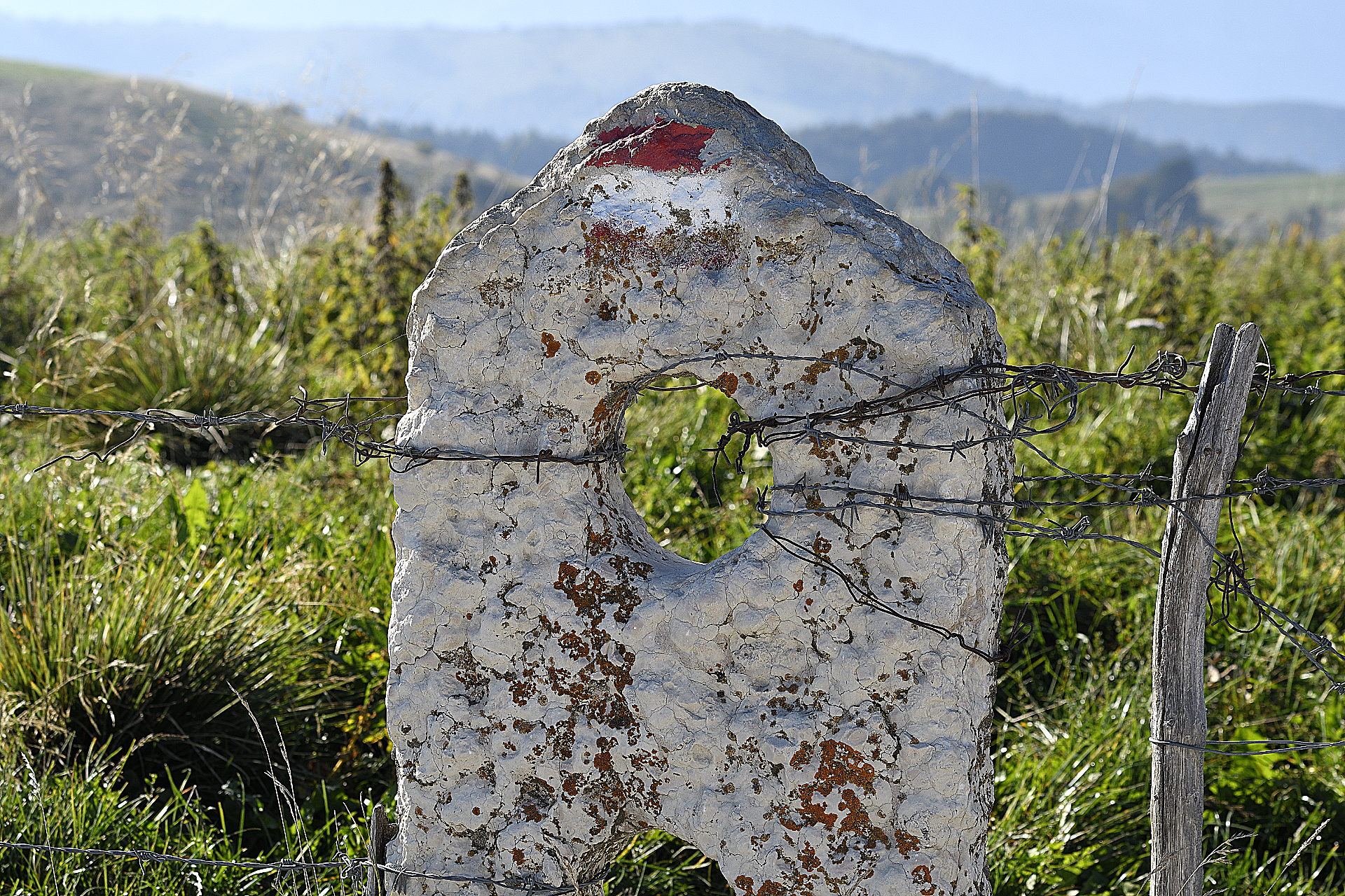 The stones of Lessinia