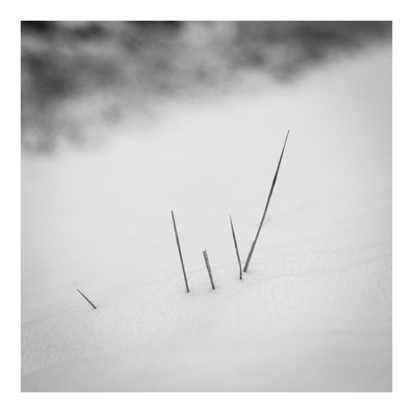 The soft cold