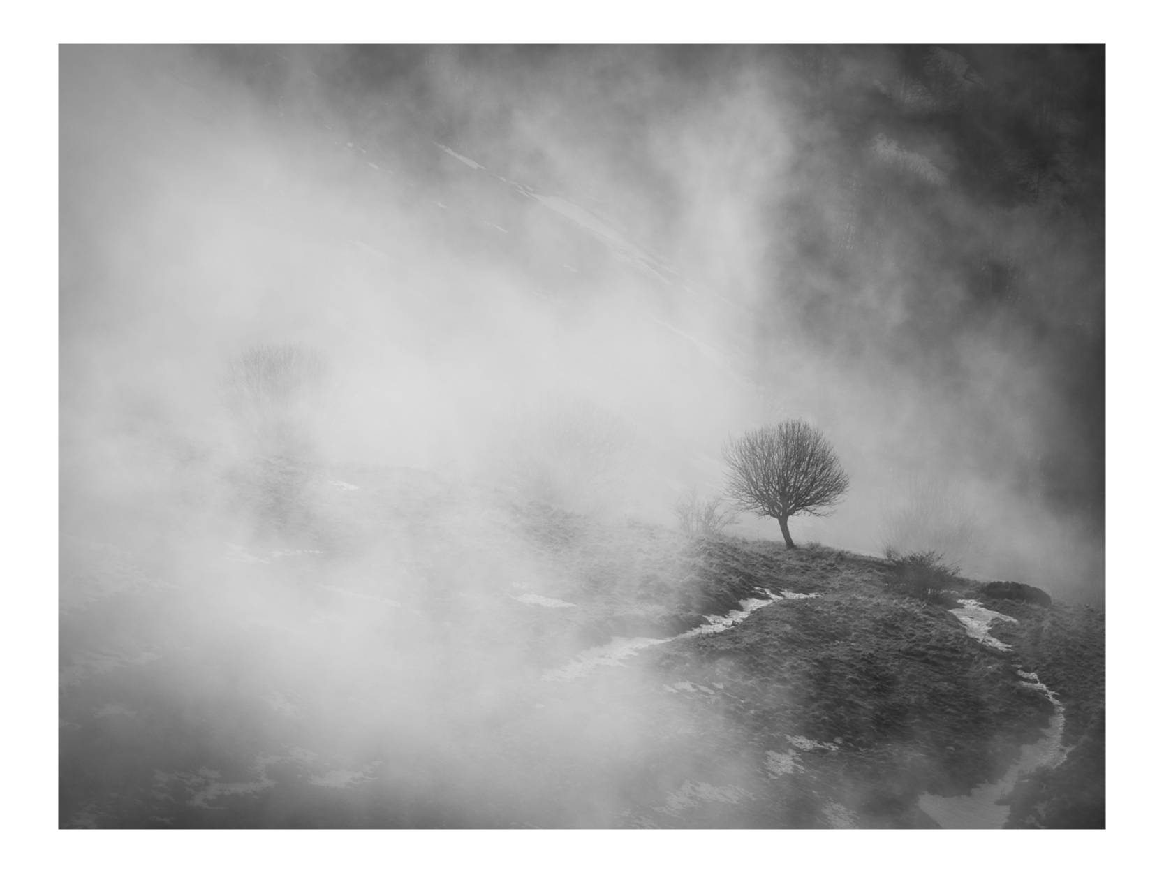 Alone and tenacious