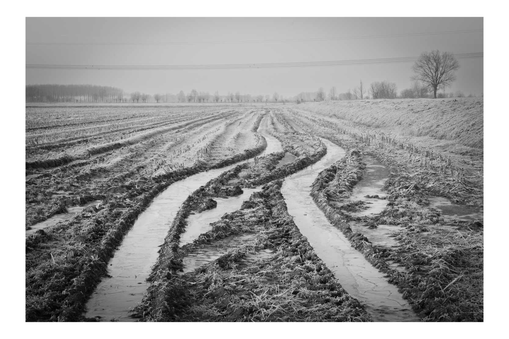 Petrified mud